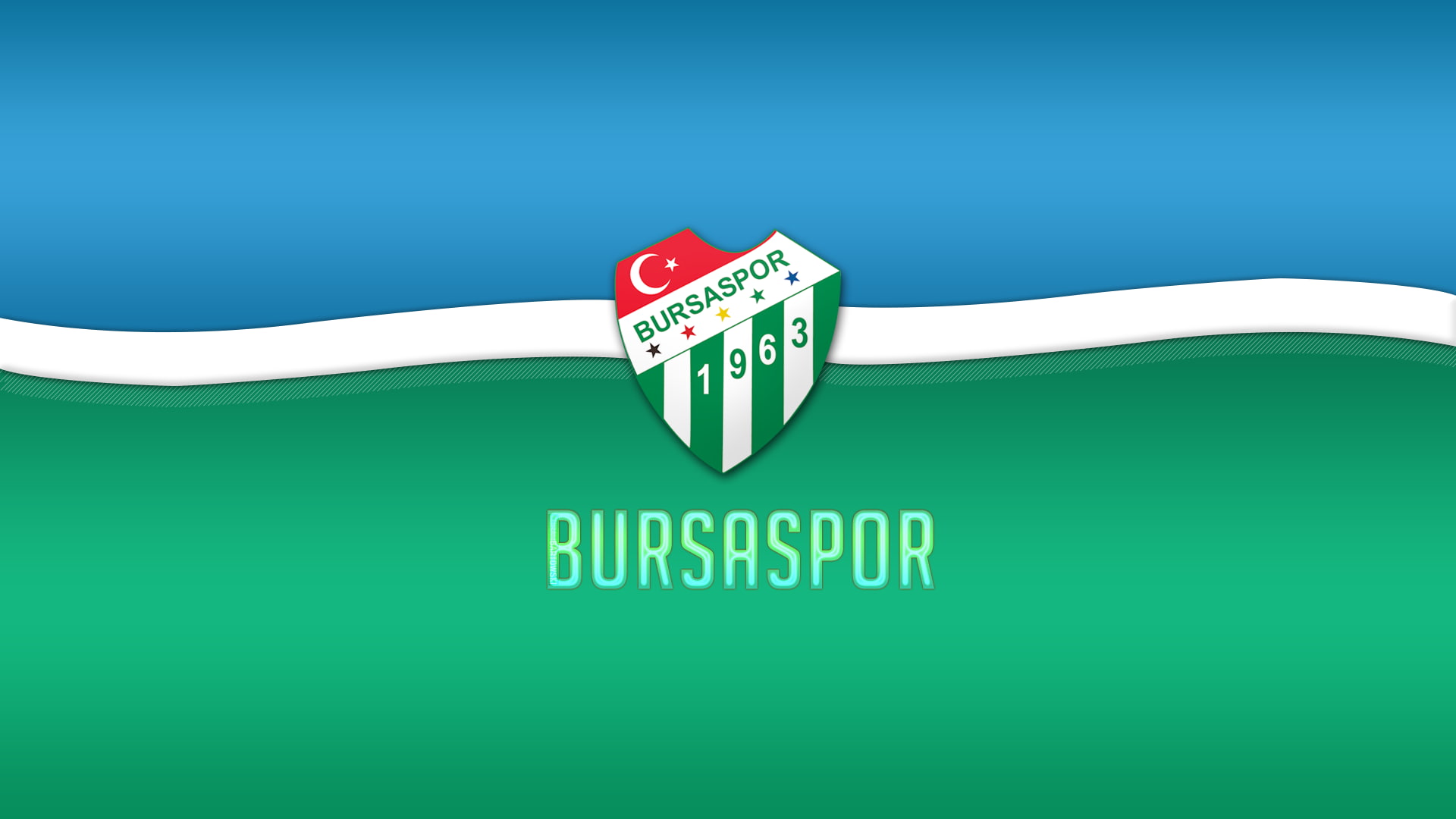 1080P, soccer, sports, green, Bursaspor, HD Wallpaper
