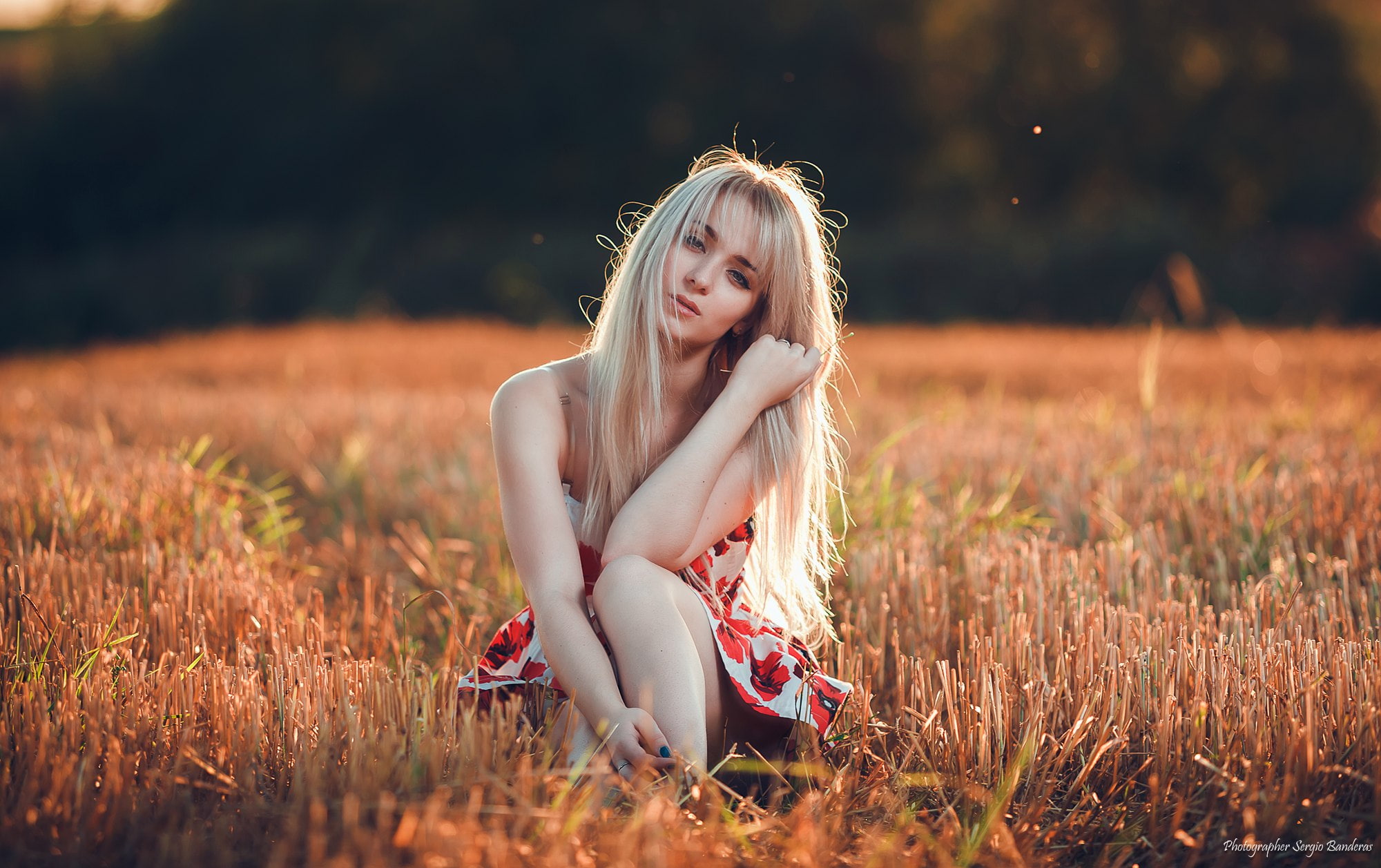 Sergio Banderas, depth of field, portrait, 1080P, sitting, women outdoors, dress, women, blonde, HD Wallpaper