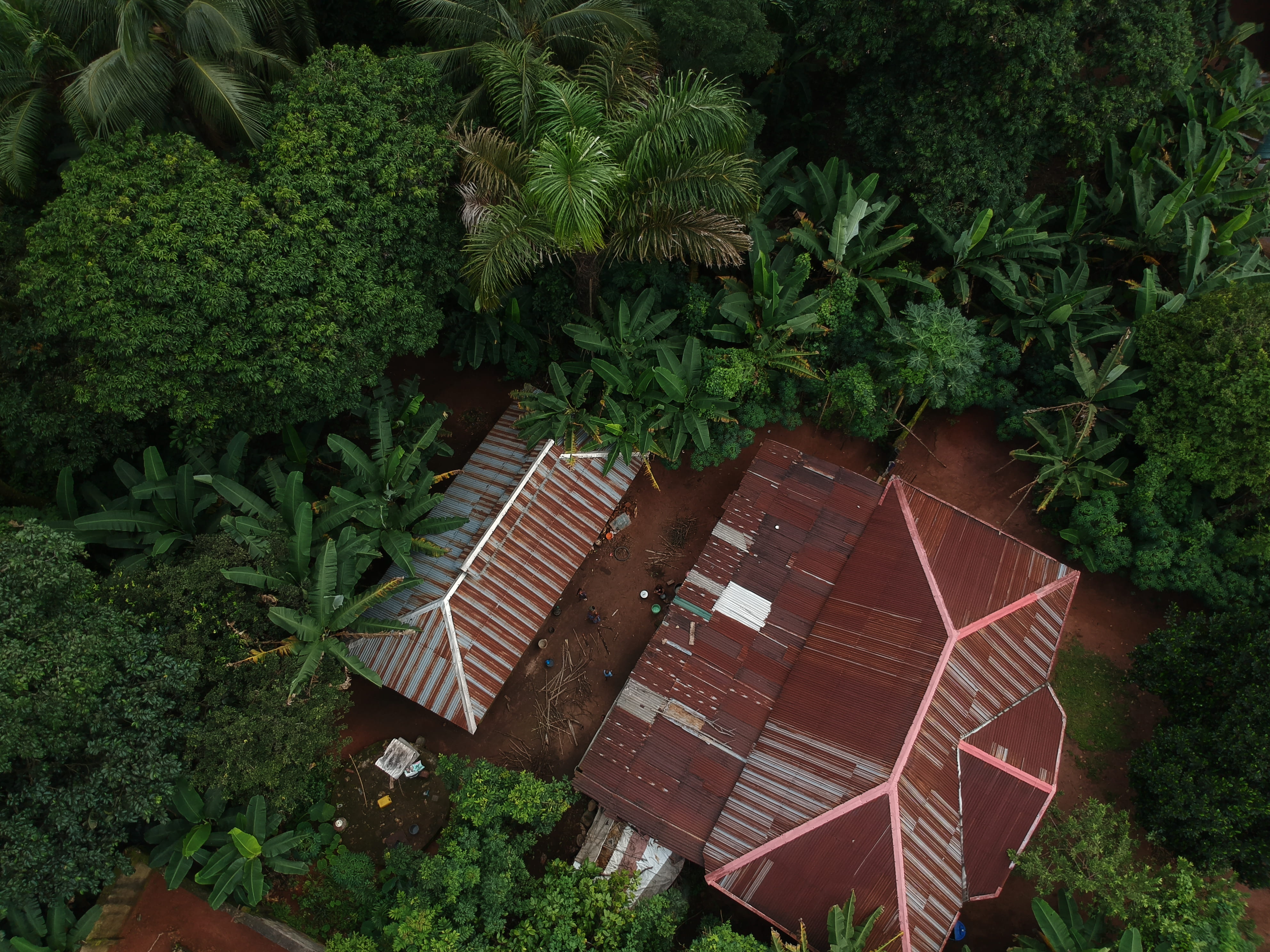 nigerian, outdoors, travel, jungle, tree, trees, assaba, summer, photo, drone view, home, no People, lush, 4K, lake, green, cultures, built Structure, HD Wallpaper