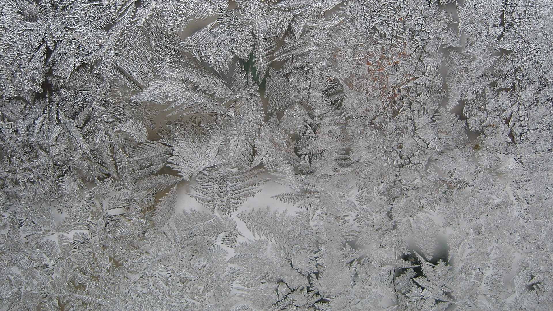 stas, 1080P, HD Wallpaper