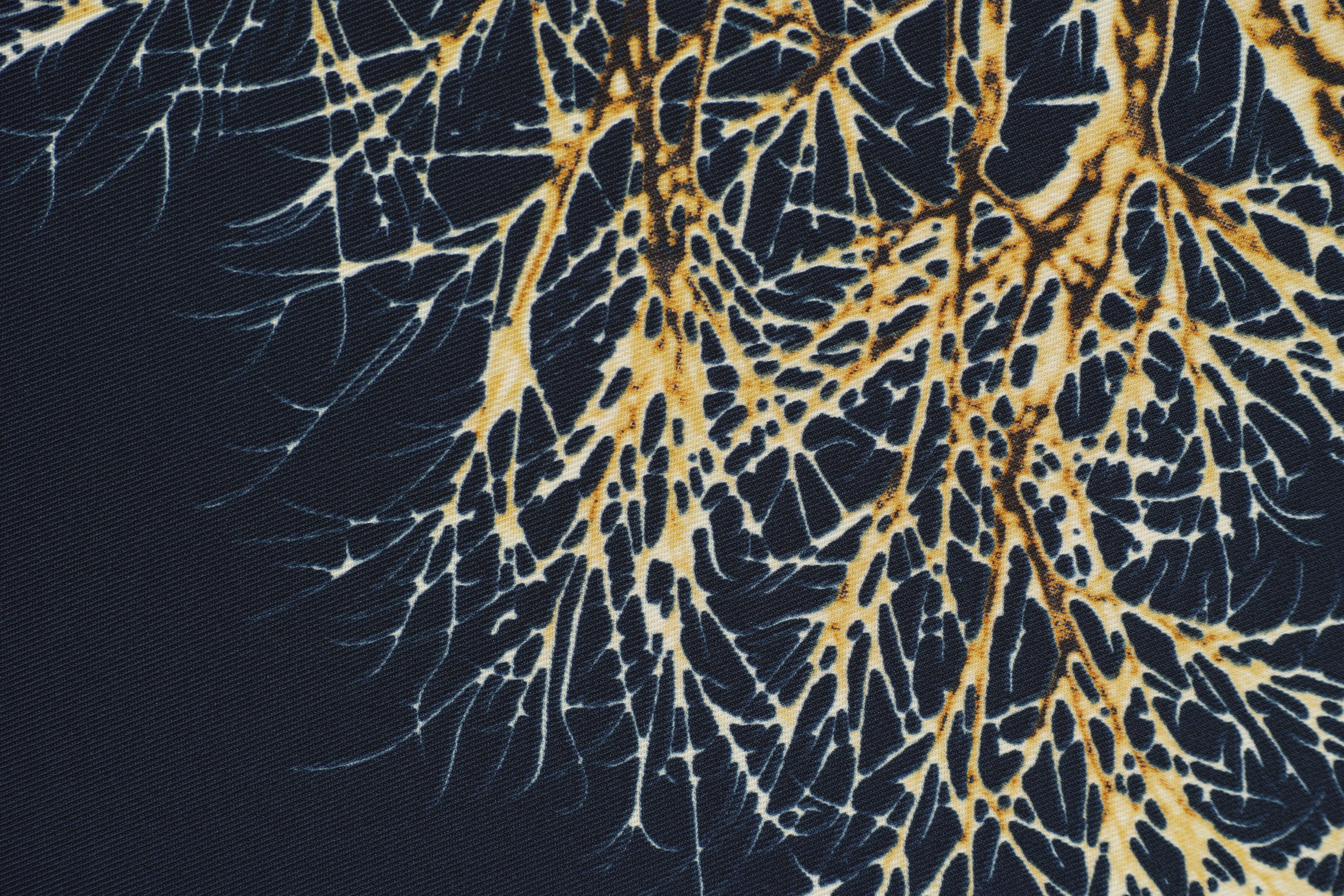 natural pattern, model, 5K, full frame, backgrounds, contemporary, branch, fragility, no people, textured, close-up, design, texture, color image, abstract, HD Wallpaper