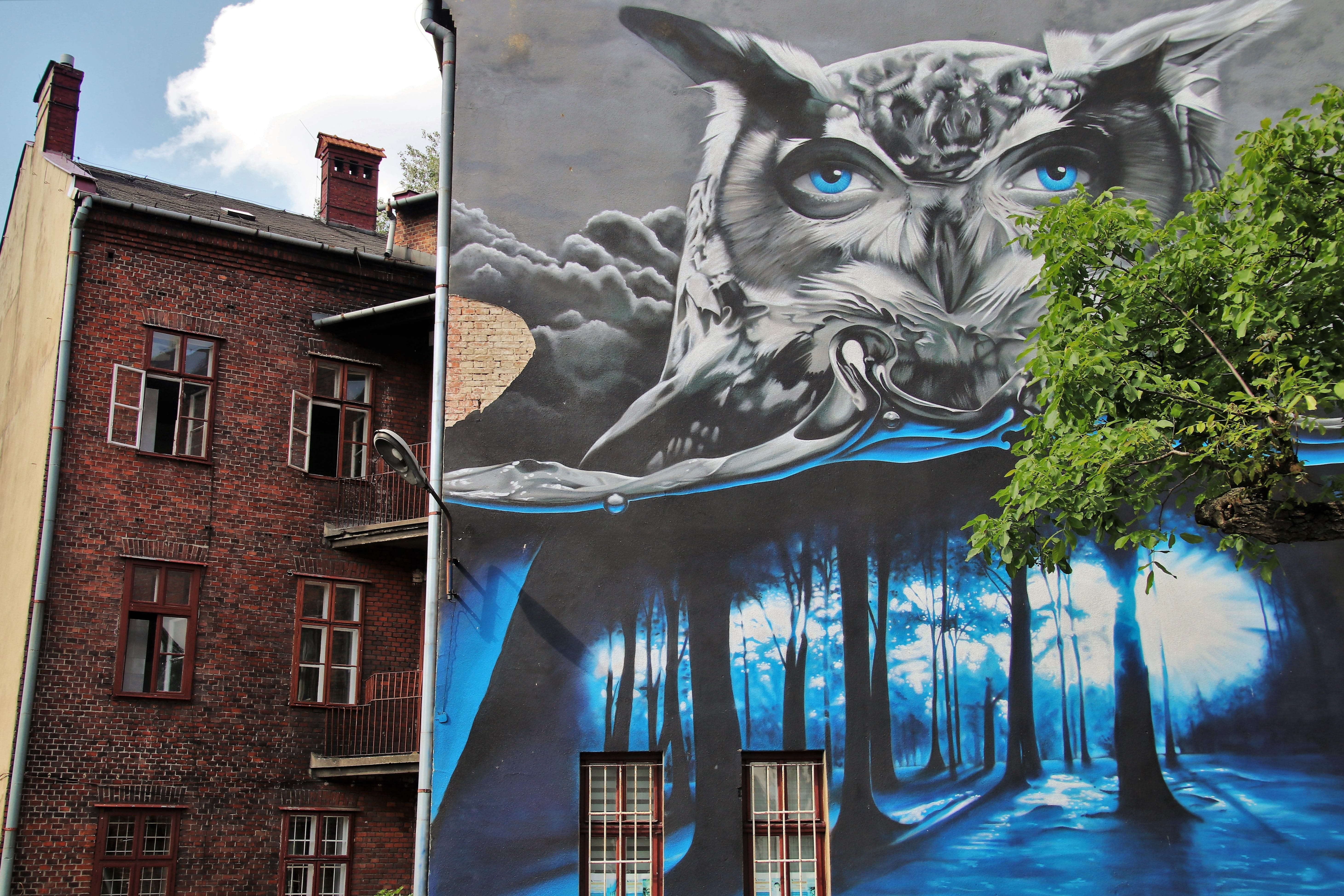 digital composite, tree, facade, surface, feline, representation, the walls of the, trees, creativity, clipart, building, gray, architecture, graffiti, HD Wallpaper
