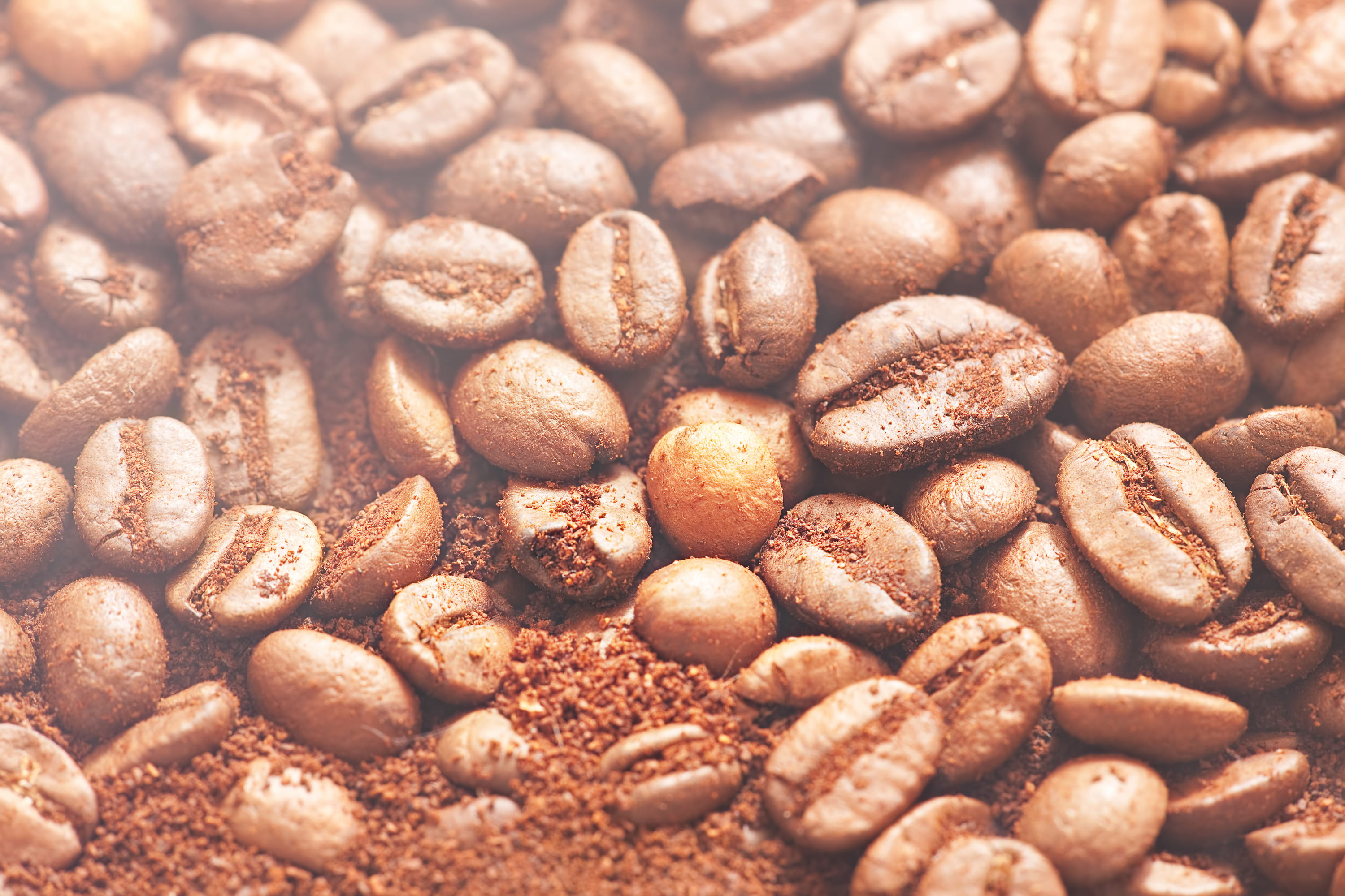 food, healthy eating, still life, nutrition, grains, cafe, background, nut, cofee, break, close, large group of objects, snack, ready-to-eat, close-up, HD Wallpaper