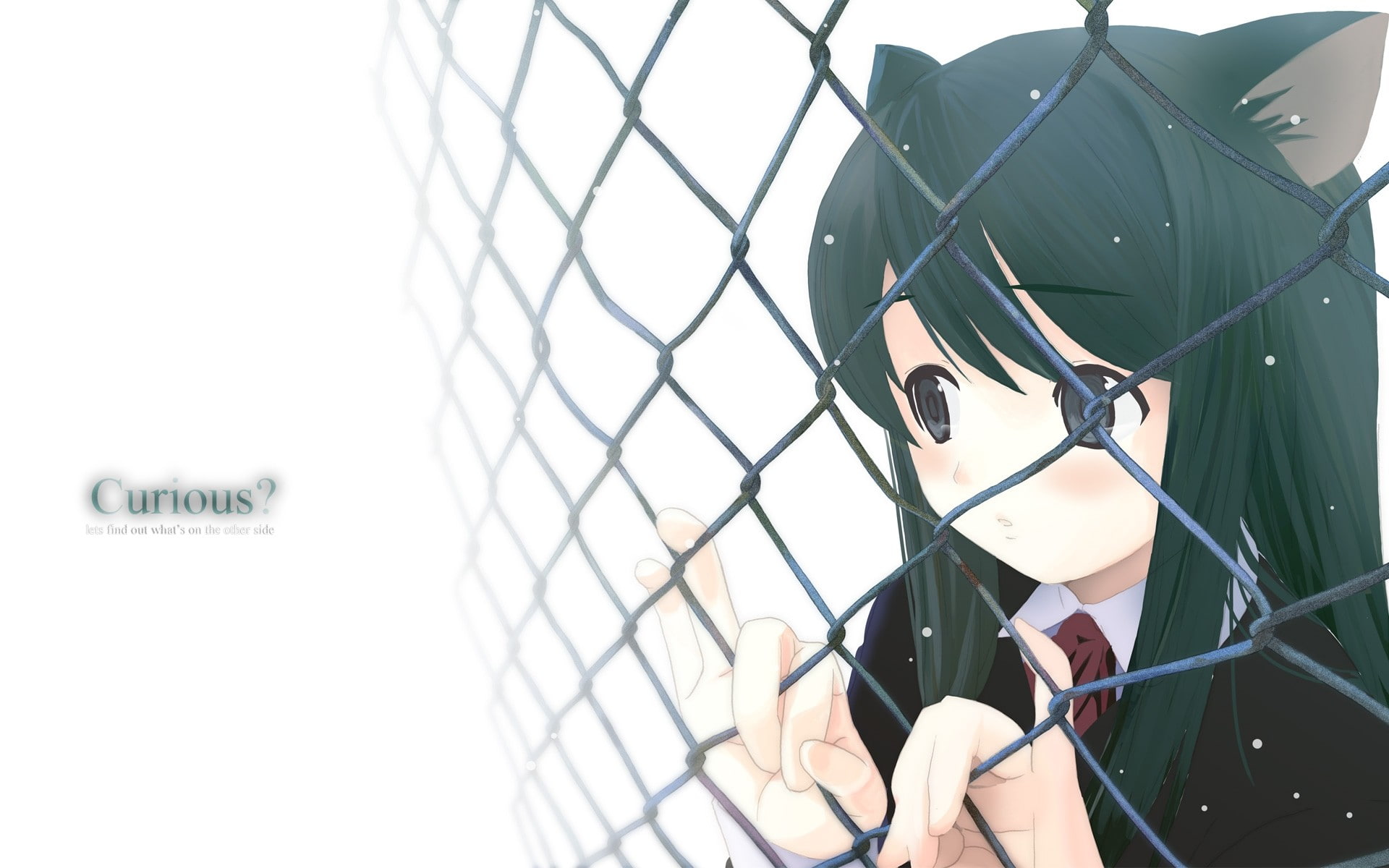 chainlink fence, fence, day, boundary, safety, 1080P, human limb, barrier, holding, nekomimi, one person, human body part, nature, lifestyles, animal ears, HD Wallpaper