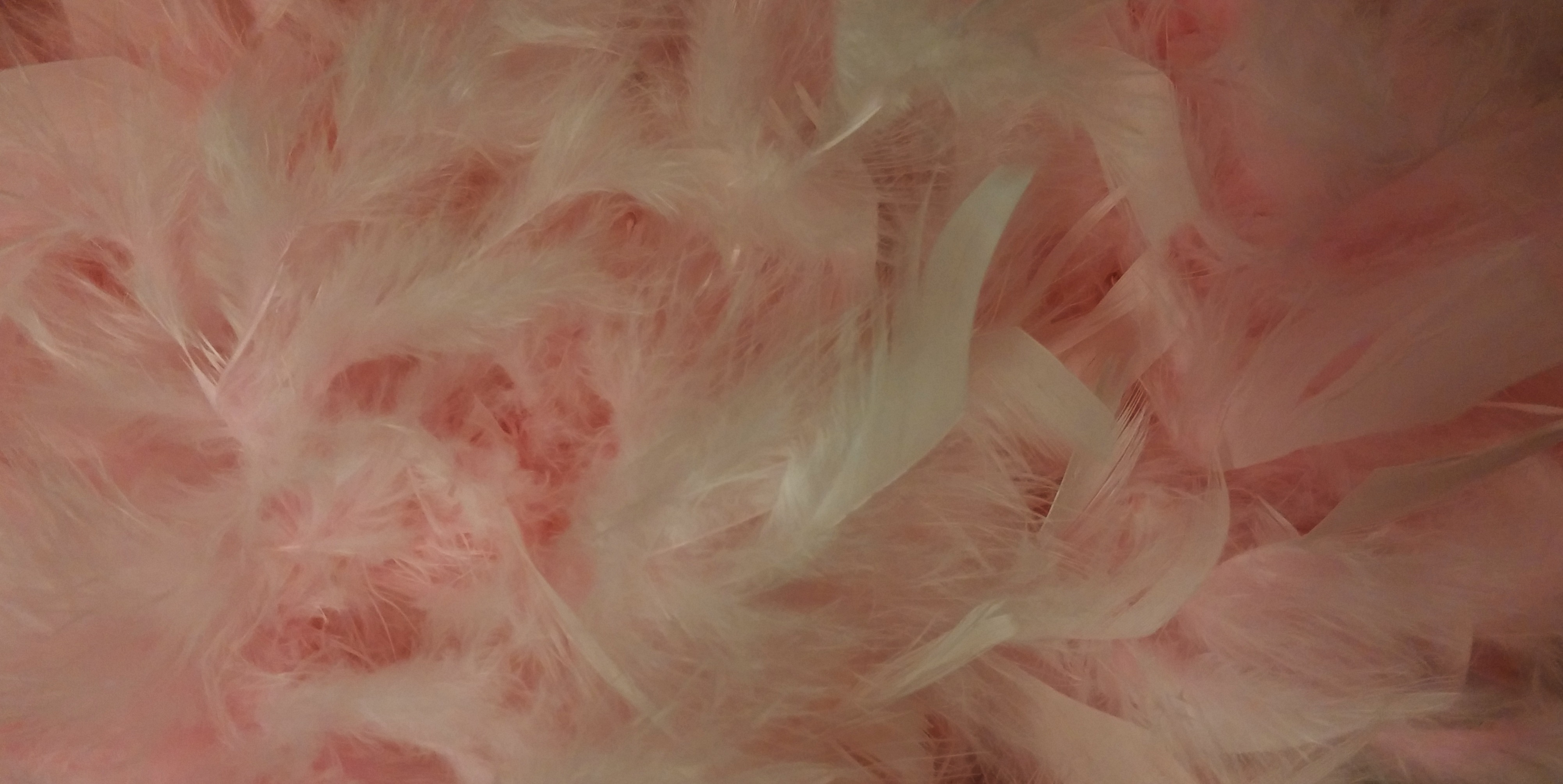 feather, fragility, abstract backgrounds, textured effect, indoors, lightweight, softness, full frame, pink color, 4K, backgrounds, costume, scarf, close-up, HD Wallpaper