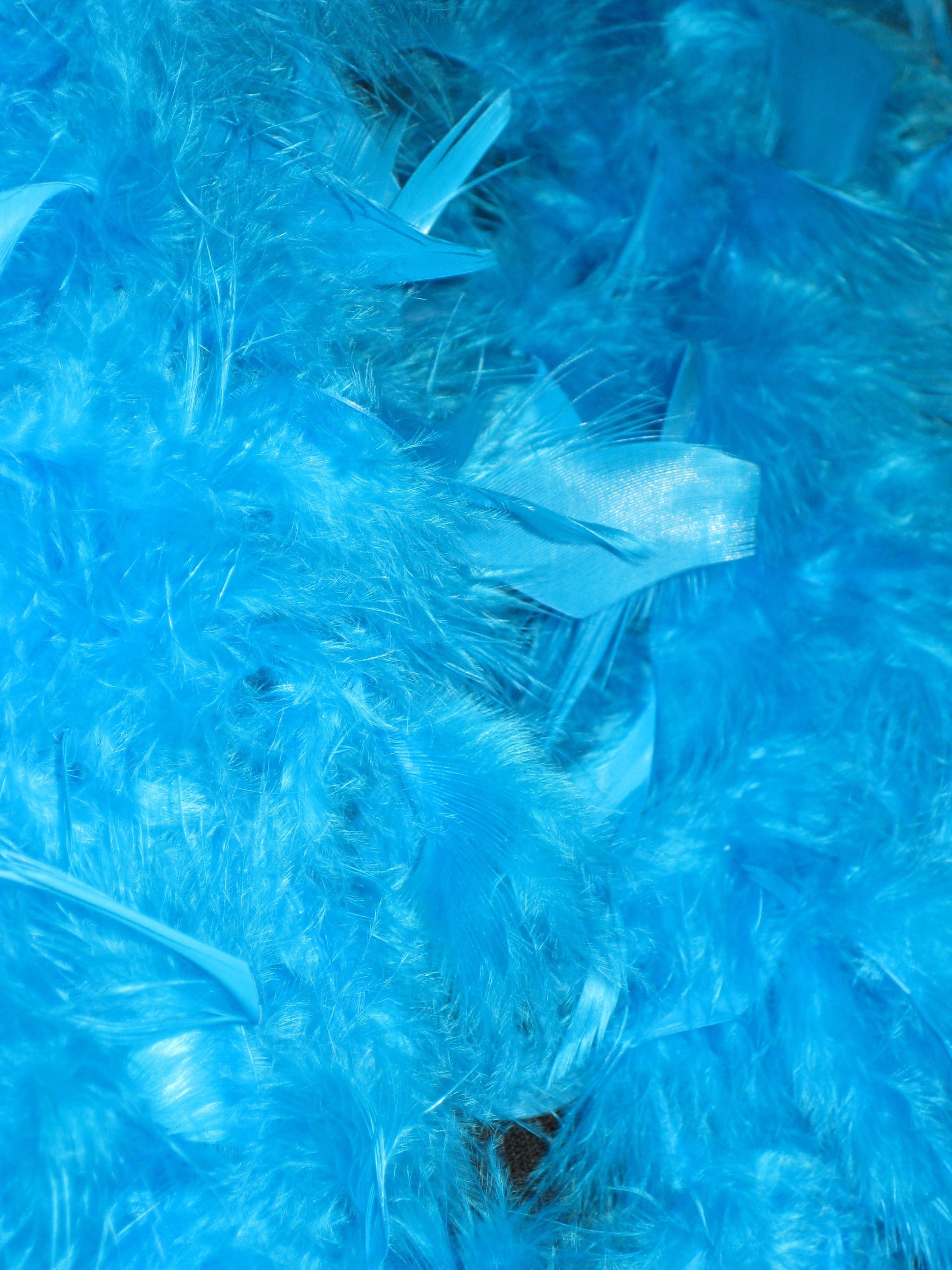 indoors, large group of objects, Carnival, Feather Boa, still life, high angle view, no people, transparent, 2K, boa, panel, blue, Perlon, turquoise colored, Phone HD Wallpaper