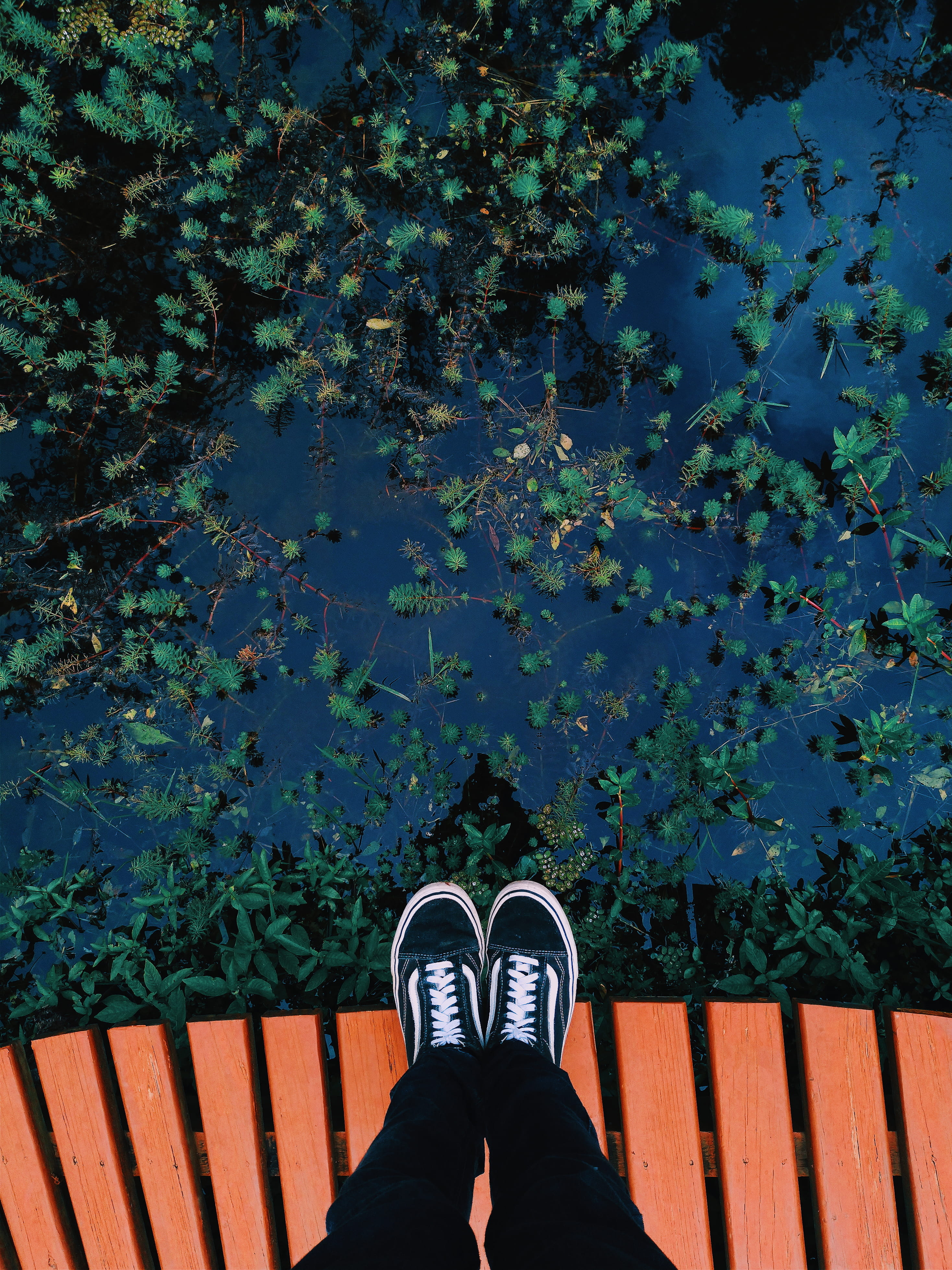 personal perspective, skool, human leg, one person, nature, sneakers, 4K, unrecognizable person, marsh, shoes, shoe, plant, standing, body, vans, reflection, Phone HD Wallpaper
