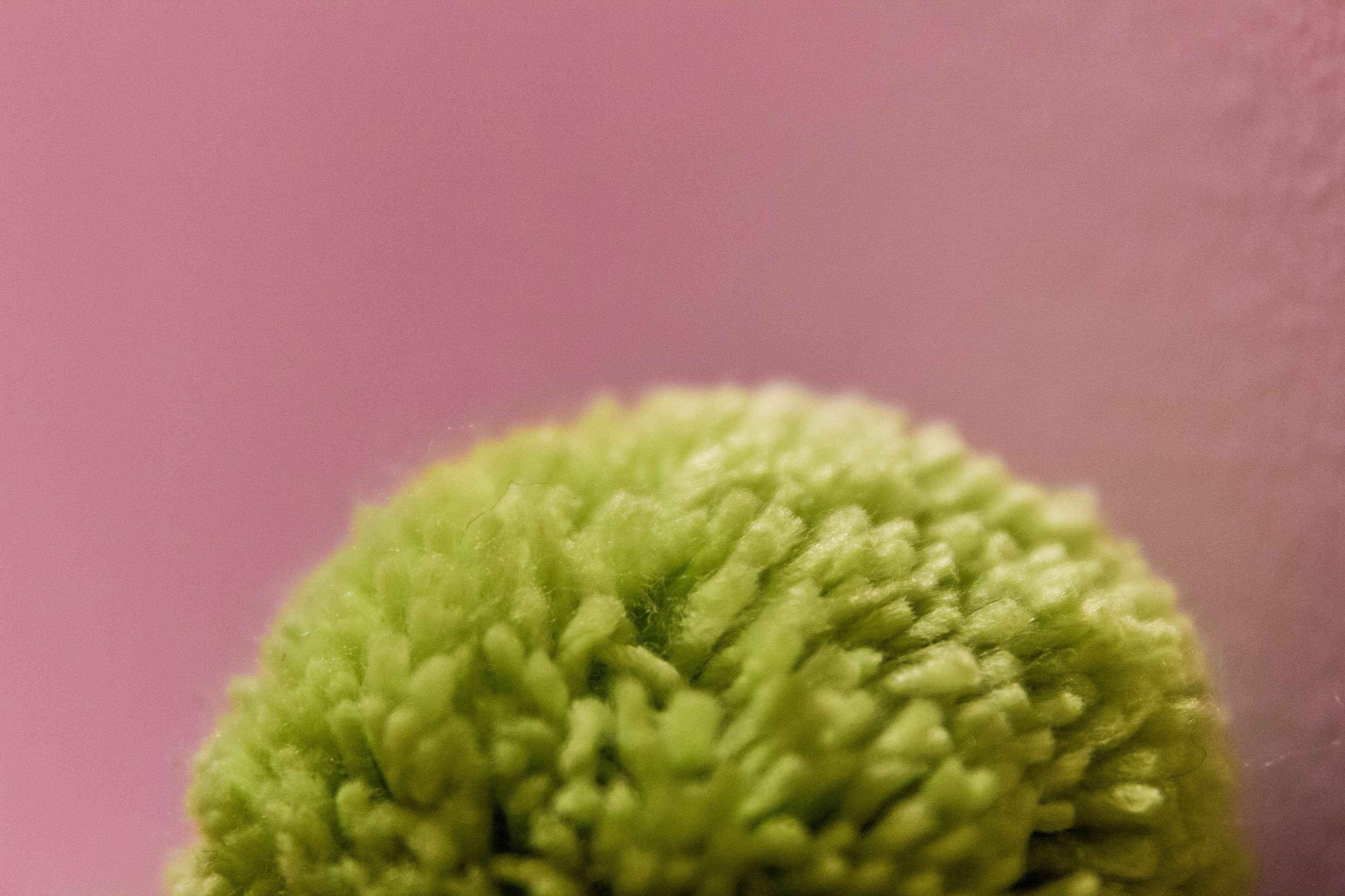 4K, proche, vegetable, vetements, laine, close-up, studio shot, wool, food and drink, simplicity, organic, healthy lifestyle, fluffy, clothes, copy space, HD Wallpaper