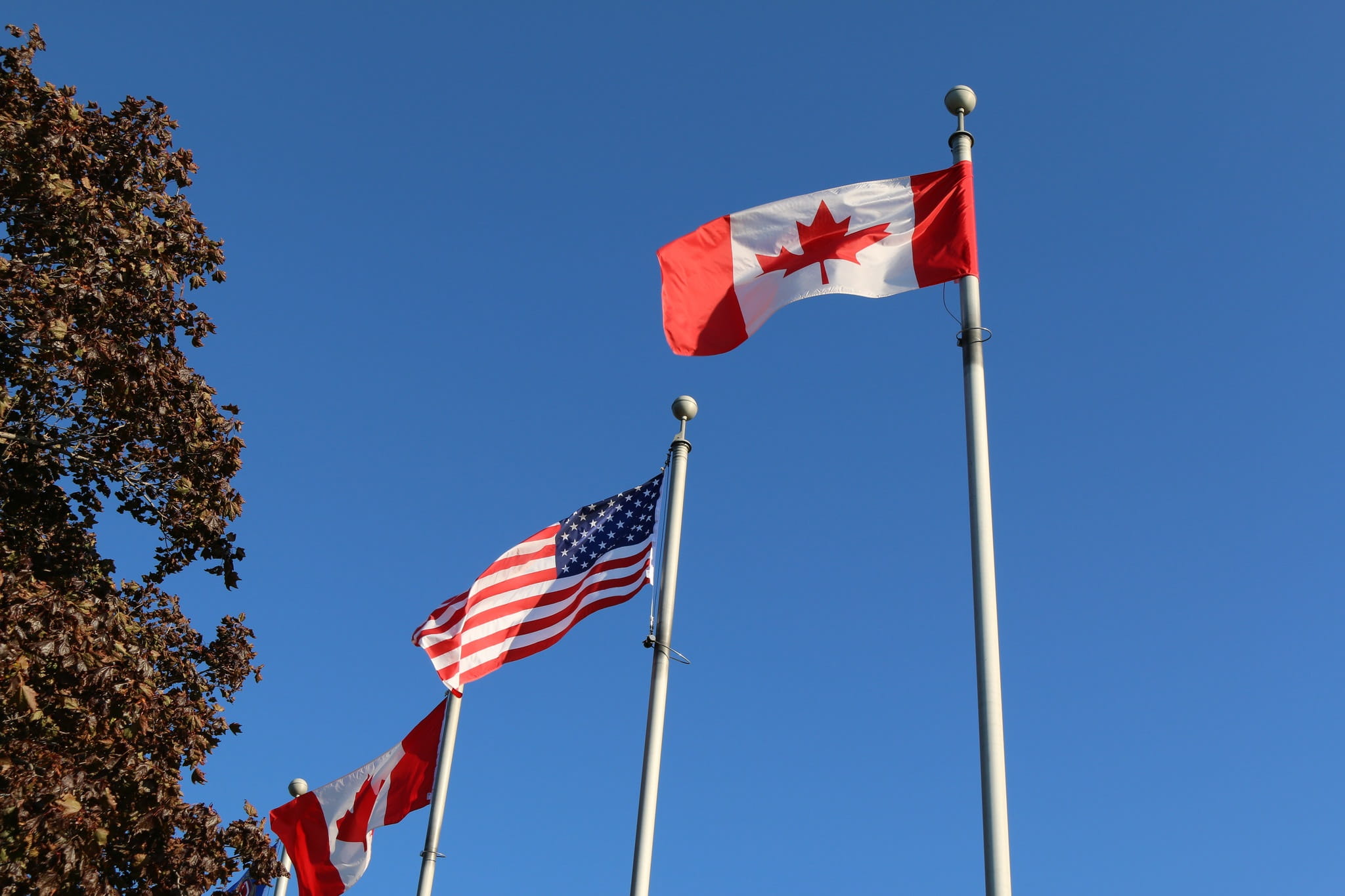 independence, windsor ontario, day, government, 1080P, patriotism, outdoors, no people, sky, pole, waving, freedom, national icon, maple leaf, pride, wind, HD Wallpaper