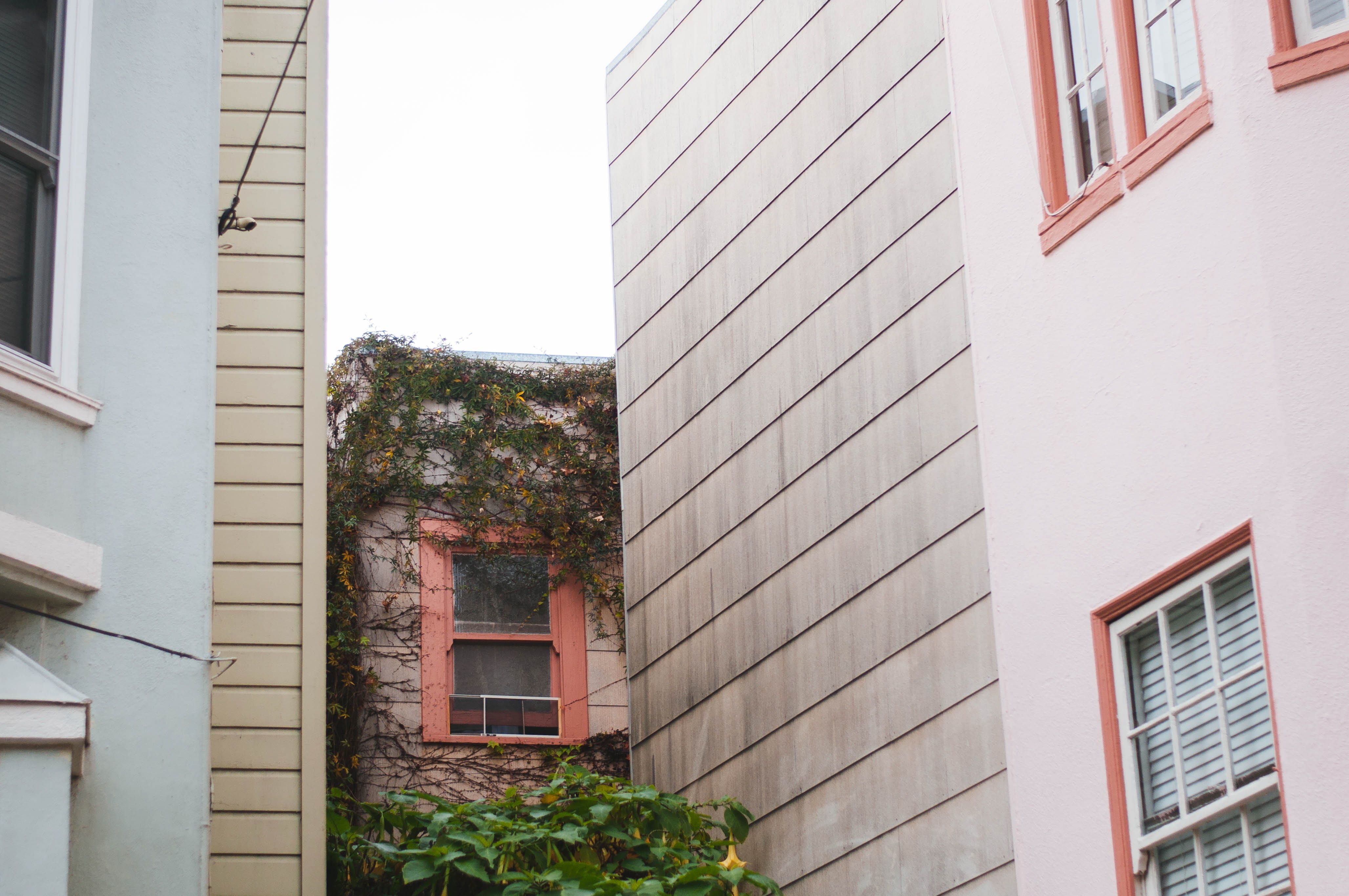 outdoors, sky, built structure, building exterior, united states, pink, home decor, growing, high rise, green, low angle view, apartment, city, nature, HD Wallpaper