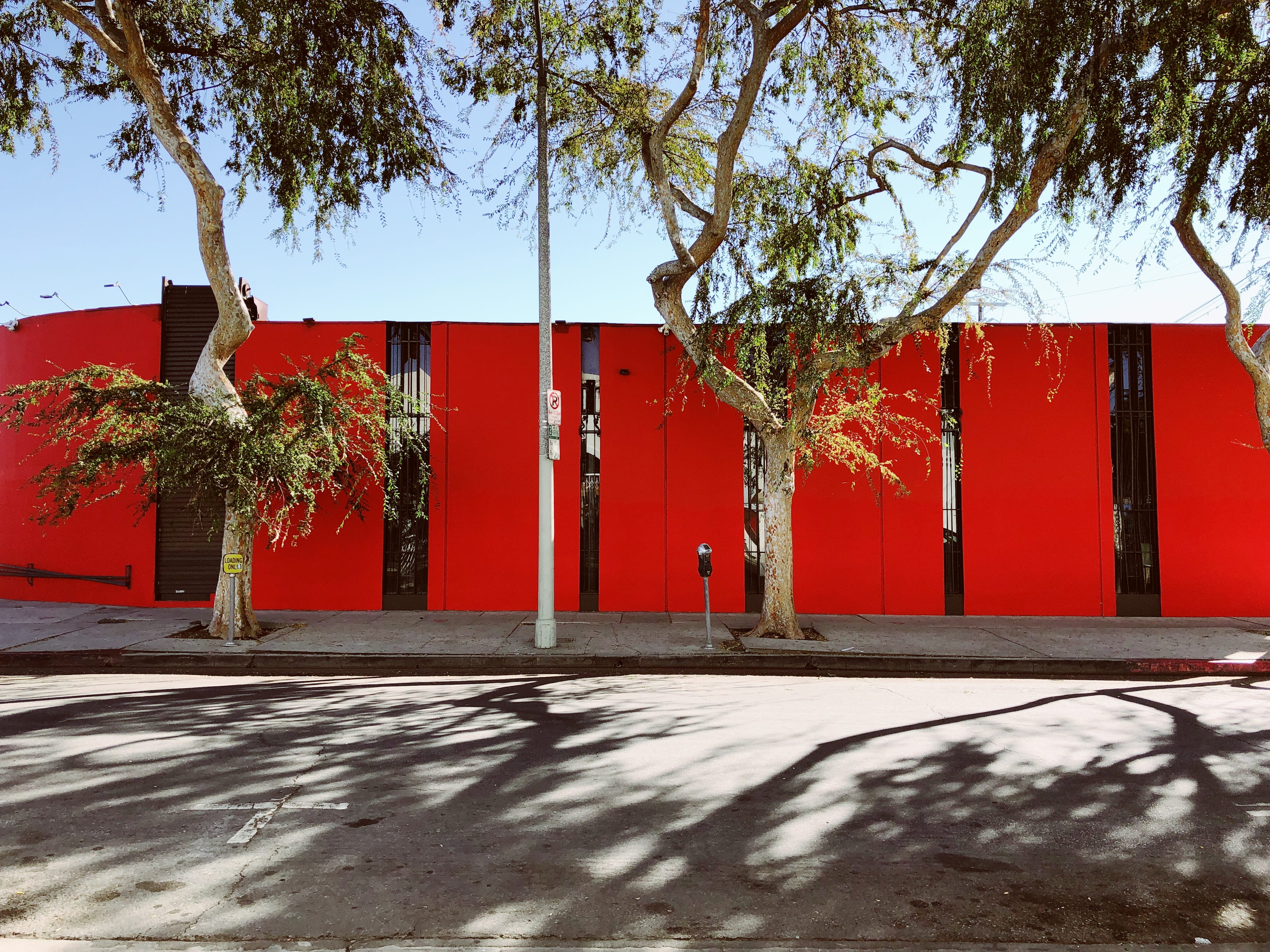 growth, sunlight, building exterior, red, outdoors, vase, town, built structure, tree, shadow, entrance, 4K, los angeles, united states, neighborhood, HD Wallpaper