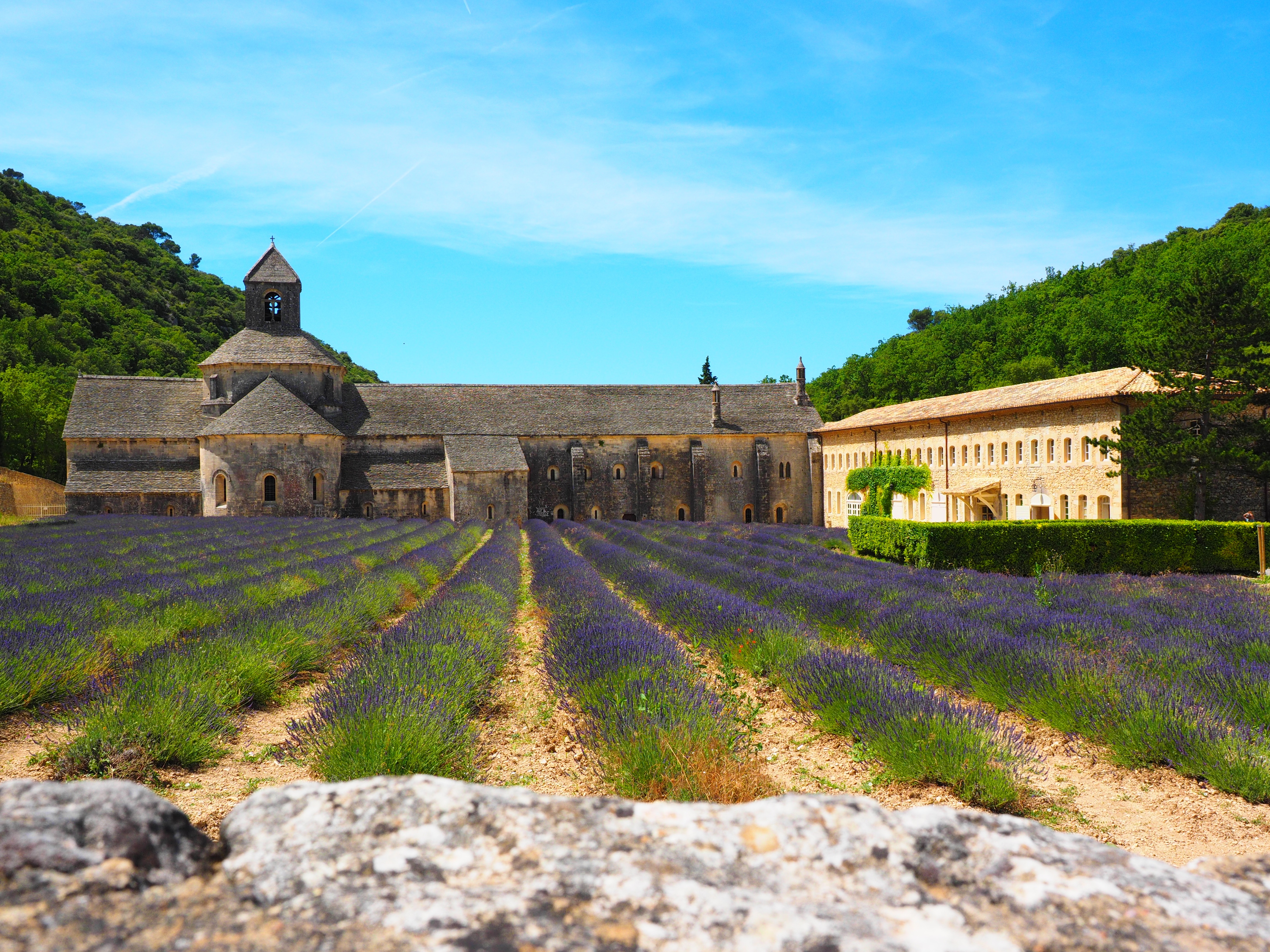 lavendula, wildblue, flora, scented plant, sky, church, lavandula officinalis, building, department of vaucluse, garden flowers, homeopathy, lavender meadow, HD Wallpaper