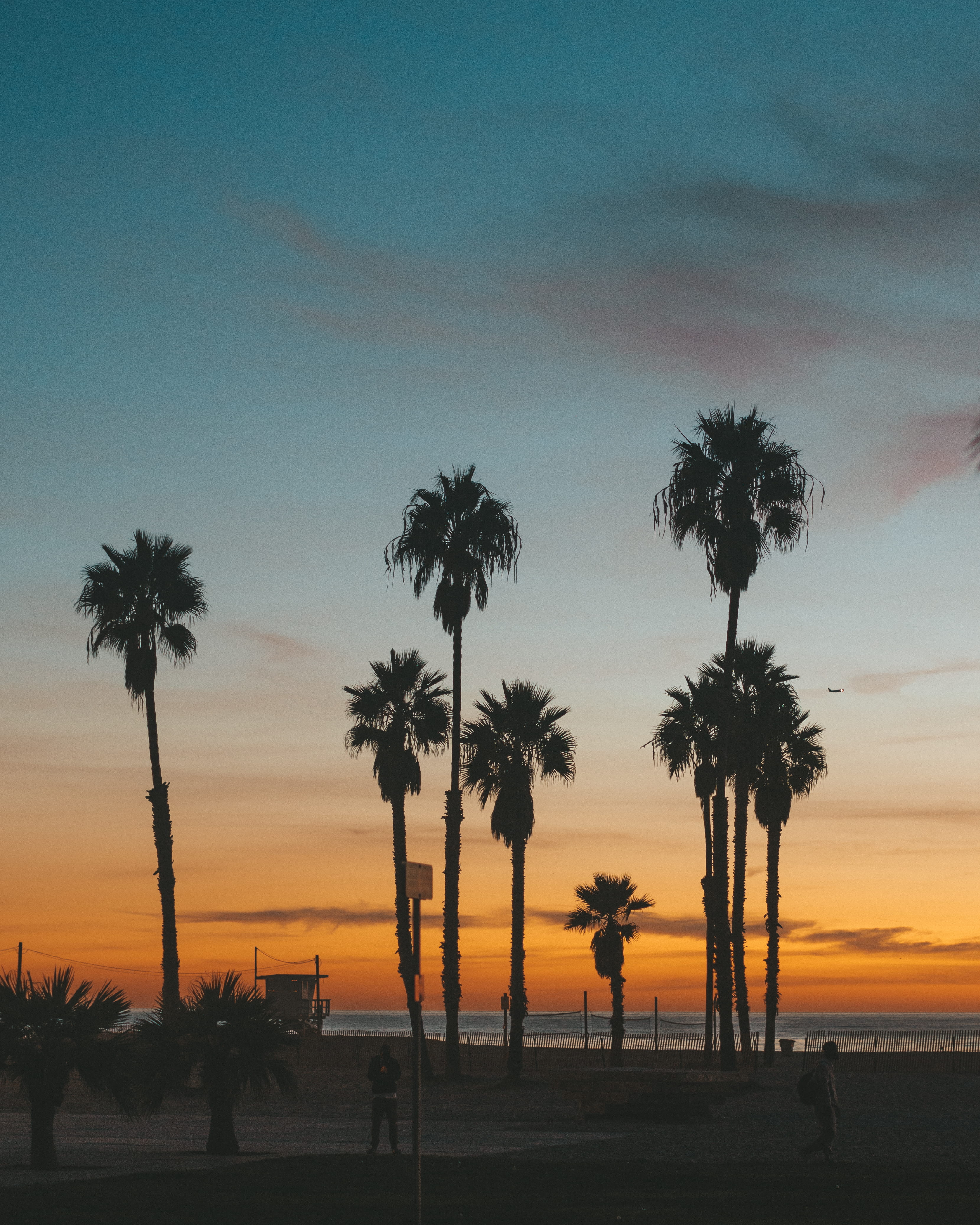 seven, orange color, no people, sunset, beauty in nature, green, palm tree, water, tropical climate, beach life, outdoors, view, silhouette, sea side, sad, Phone HD Wallpaper