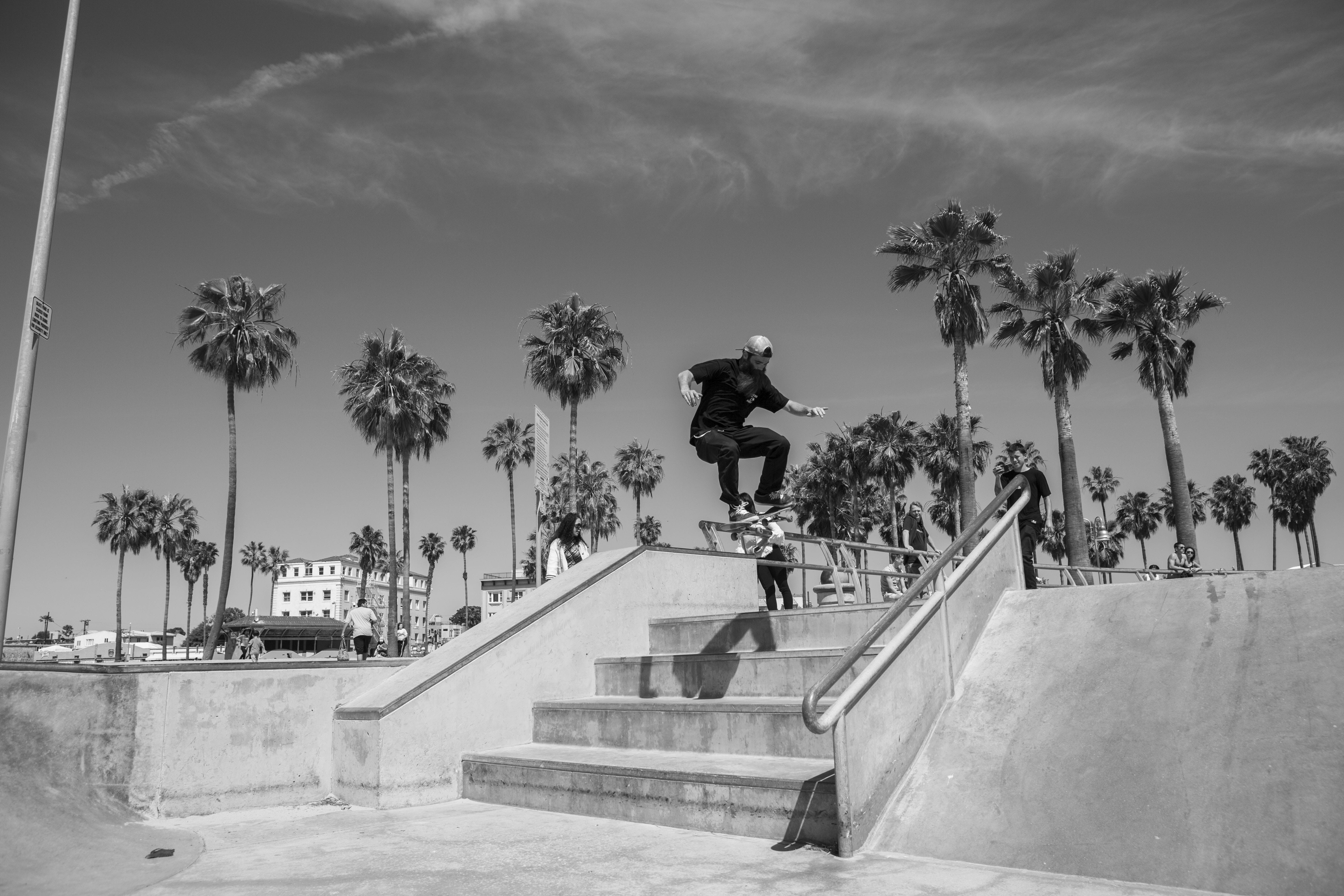 beach, palm tree, risk, skateboarding, full length, vans, skateboard park, one person, city, skill, venice, sports ramp, trees, lifestyles, day, men, california 1, HD Wallpaper