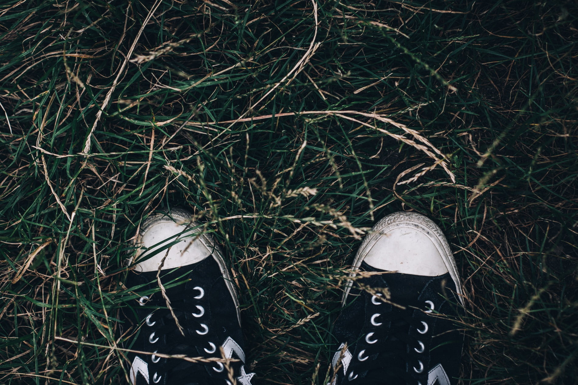 shoe, human limb, high angle view, plant, body part, land, running shoes, exercise, sport, day, outdoors, trainers, healthy, close-up, dirty, real people, HD Wallpaper