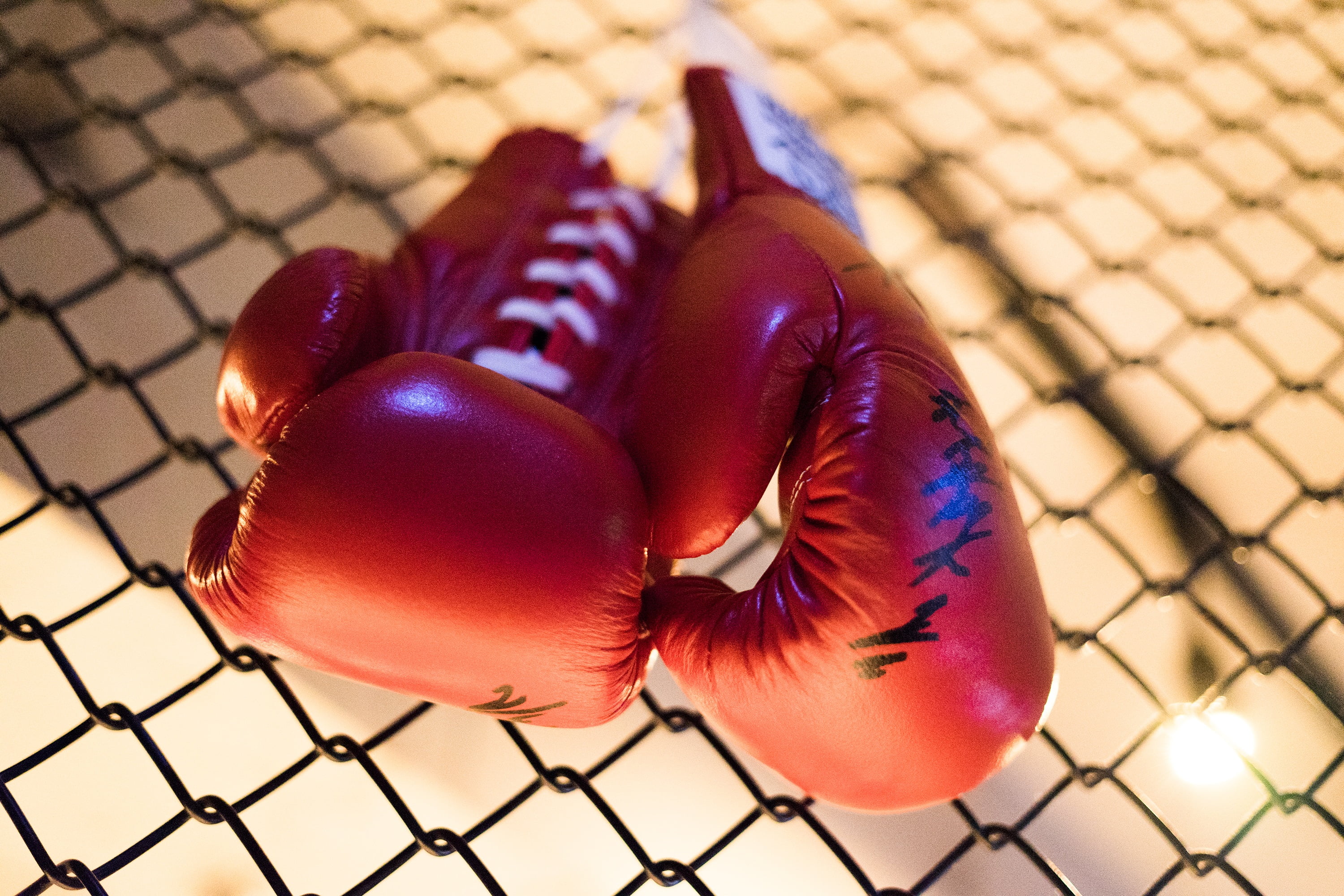 fight, focus on foreground, no People, gloves, protection, sunlight, chainlink fence, fence, baseball - Sport, sport, 2K, close-up, boxing, metal, purple, HD Wallpaper