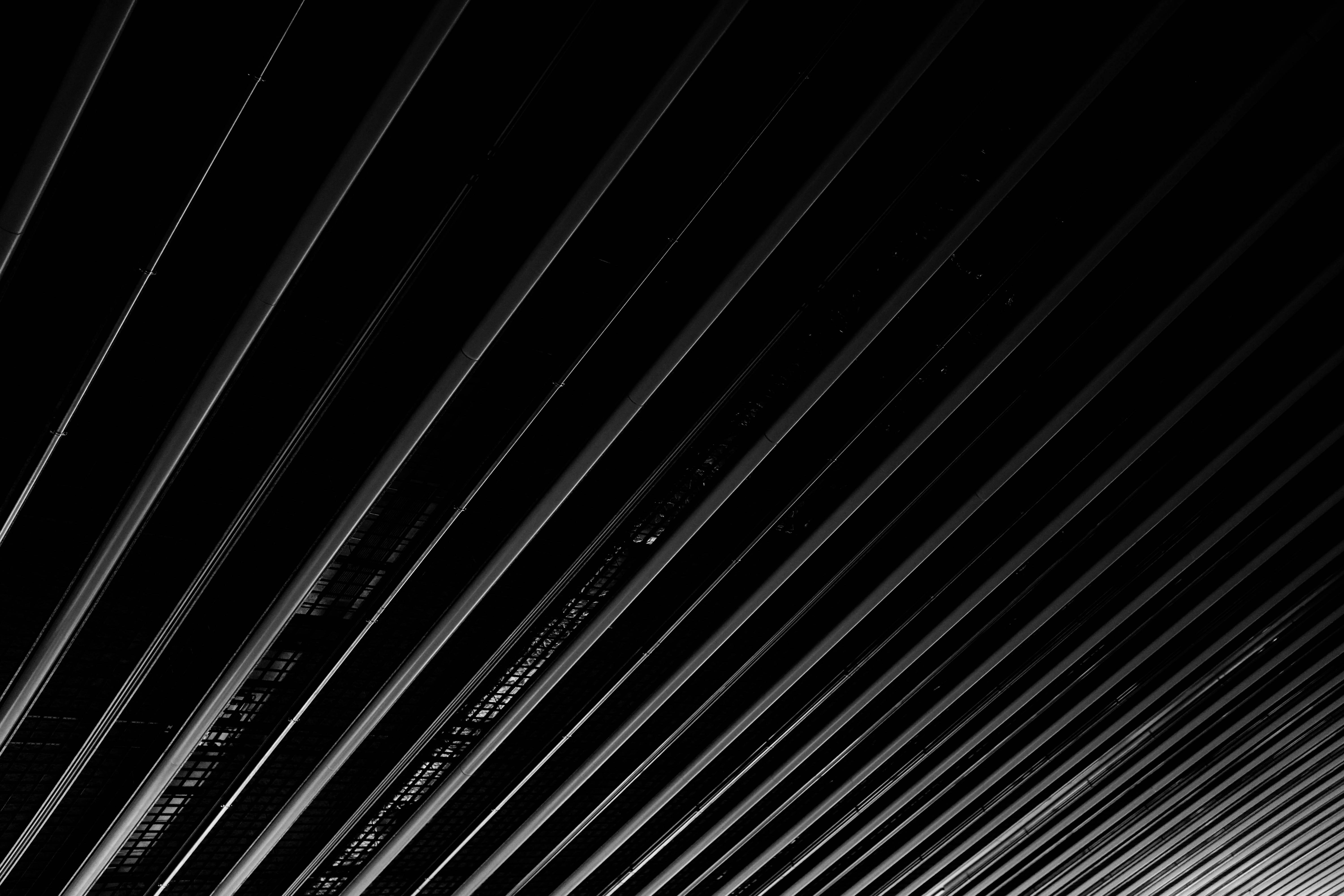 text, backgrounds, texture, softball, palm leaf, beauty in nature, wire, sports, symbol, black background, arrow, sport, metal, close-up, nature, ornament, HD Wallpaper