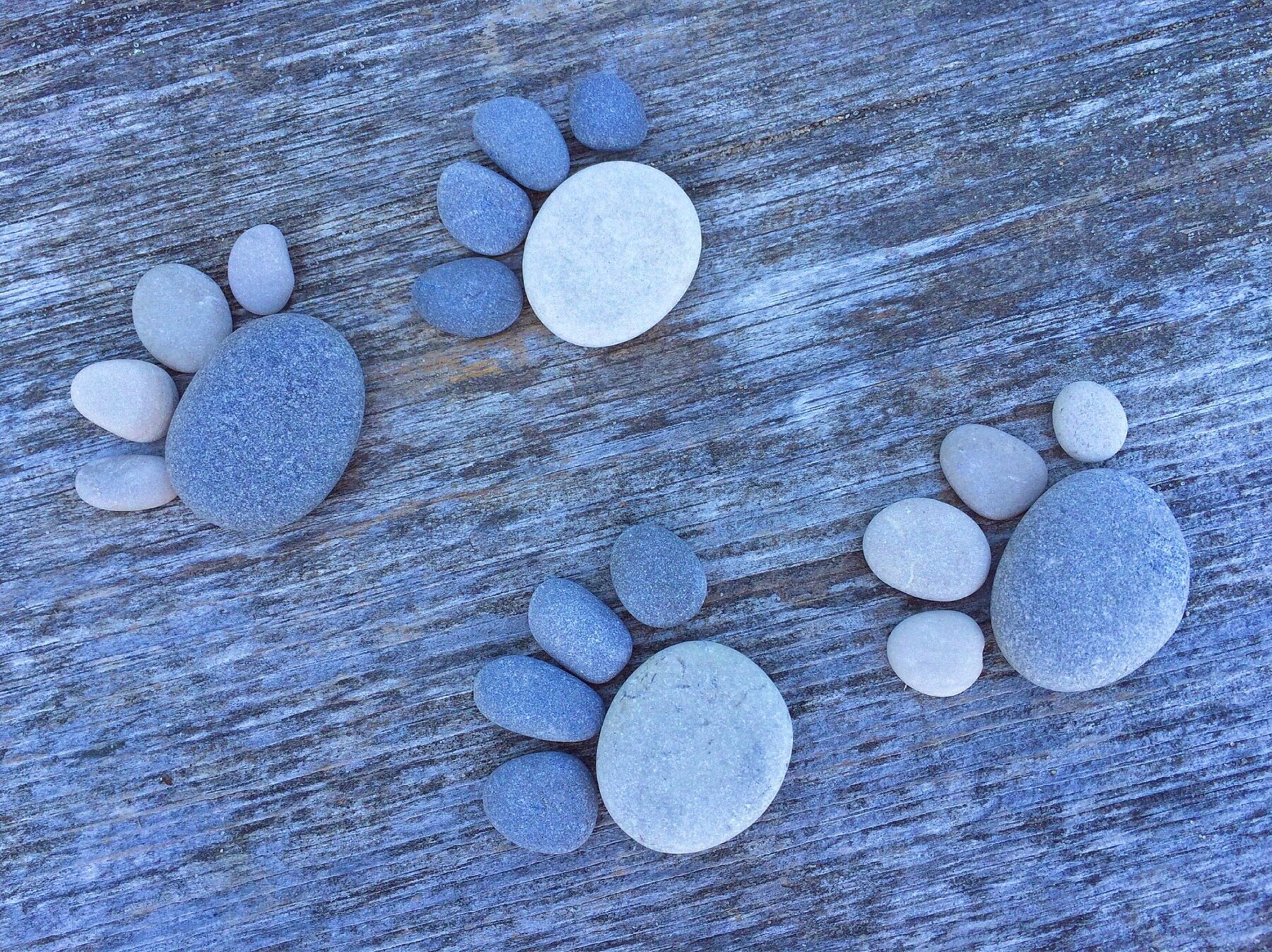 table, craft, pebble, white, large group of objects, no people, stone - object, day, art, prints, indoors, wood - material, high angle view, paw, full frame, HD Wallpaper