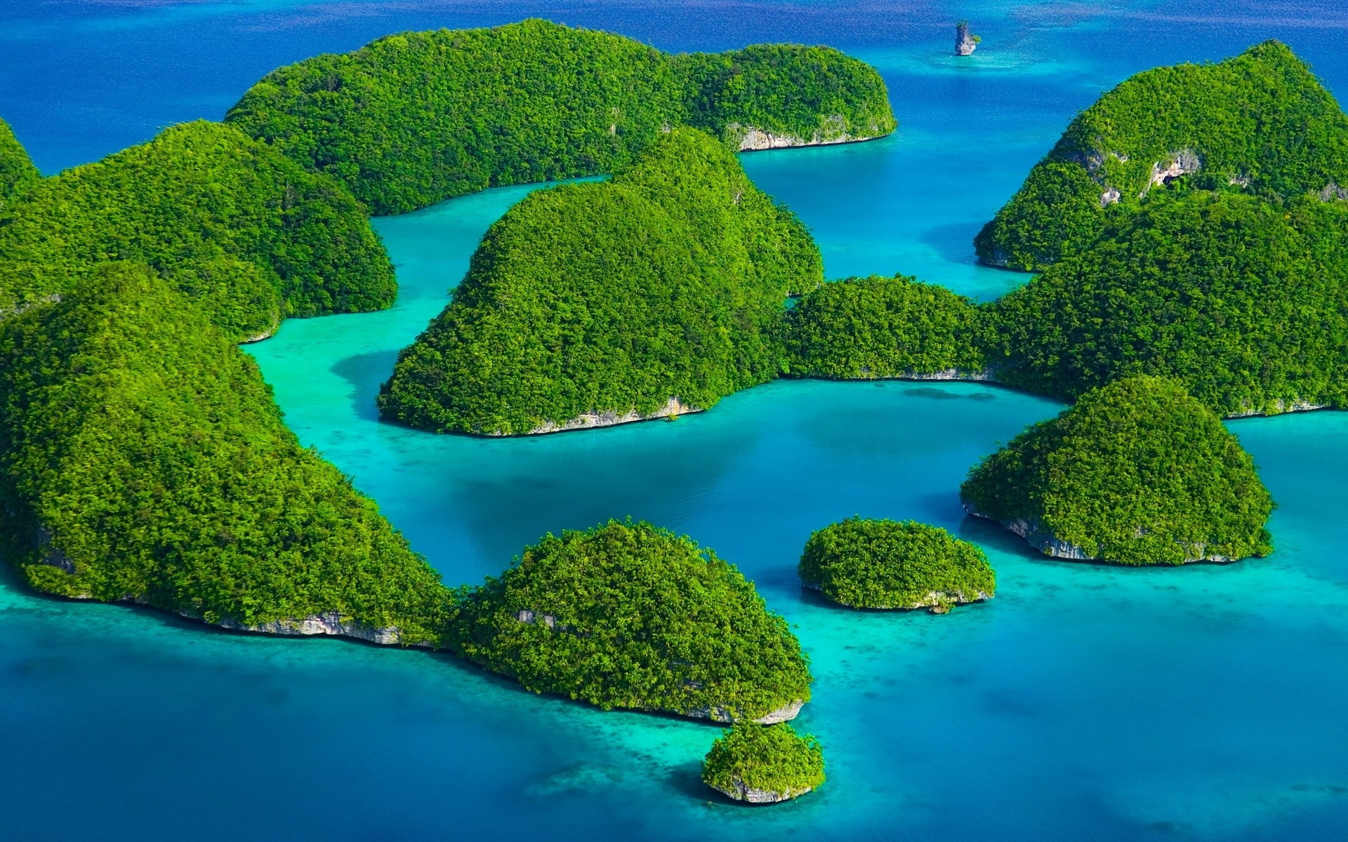 tree, tropical, sea, islands, landscape, 1080P, green, desktop, turquoise, HD Wallpaper