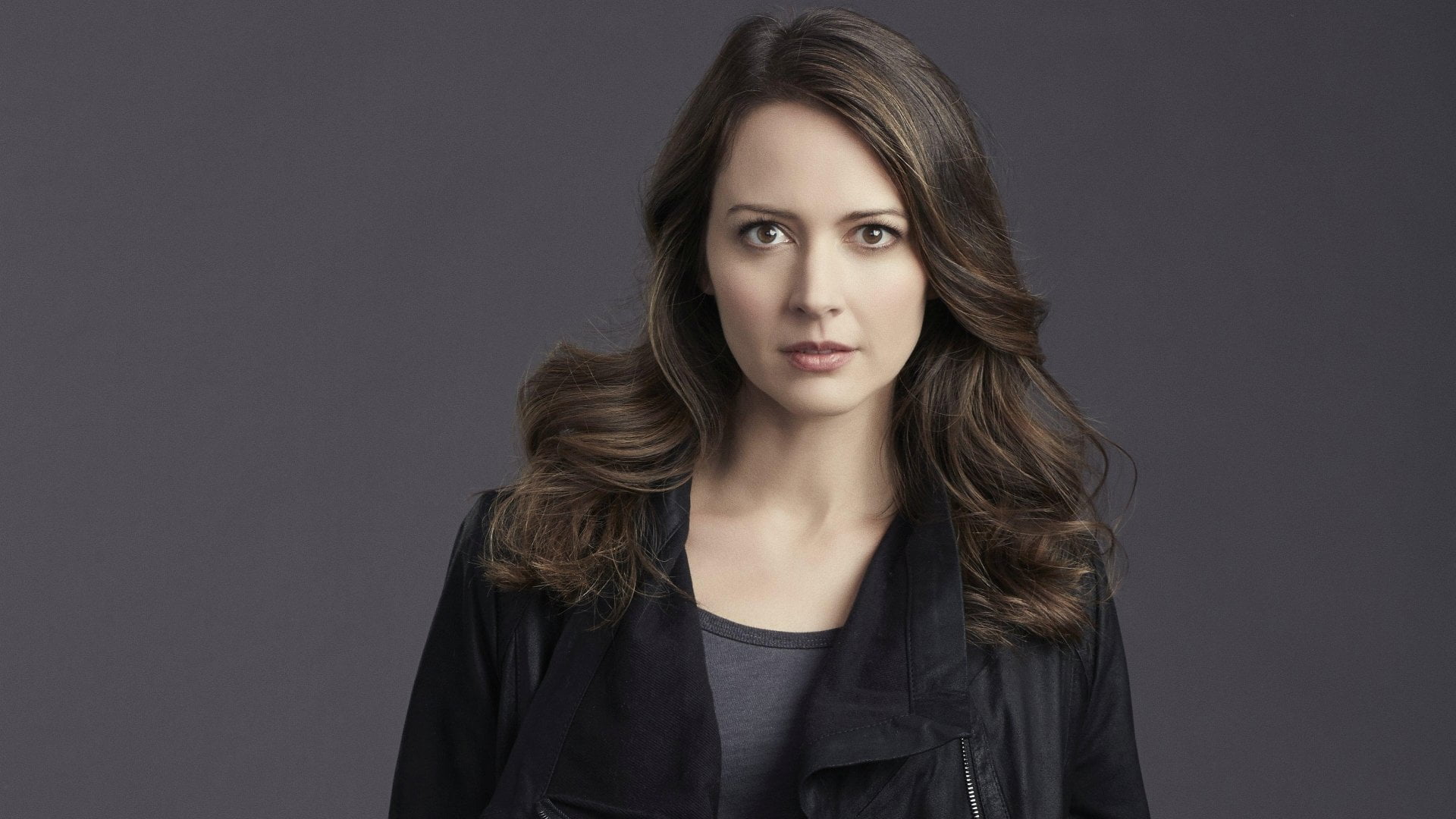 hairstyle, looking at camera, TV Show, young adult, gray, front view, one person, hair, women, gray background, black background, Person Of Interest, long hair, HD Wallpaper