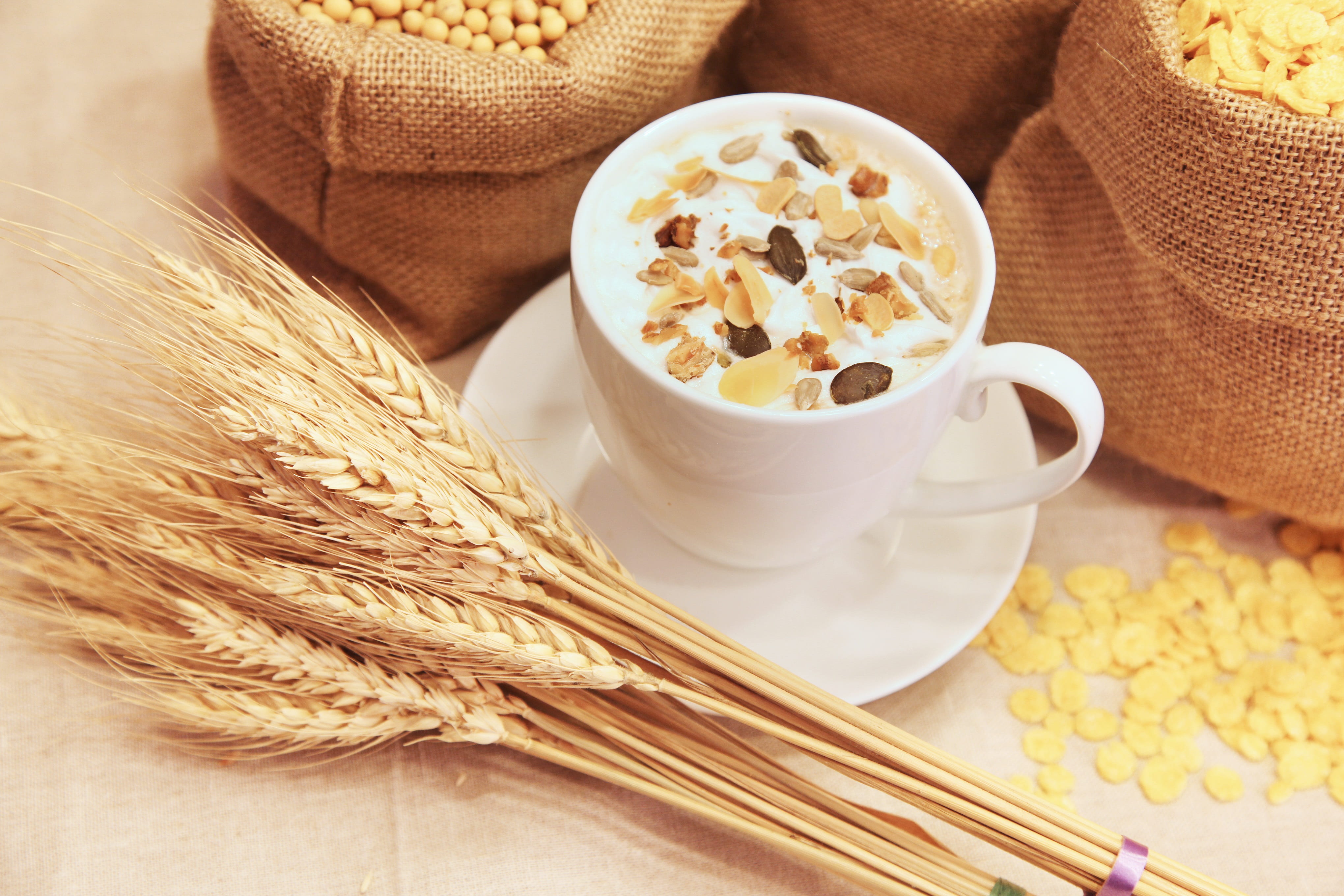 oatmeal, corn, food, bowl, no people, still life, brown, indoors, meal, drink, freshness, cereal plant, close-up, porridge, healthy eating, breakfast cereal, HD Wallpaper