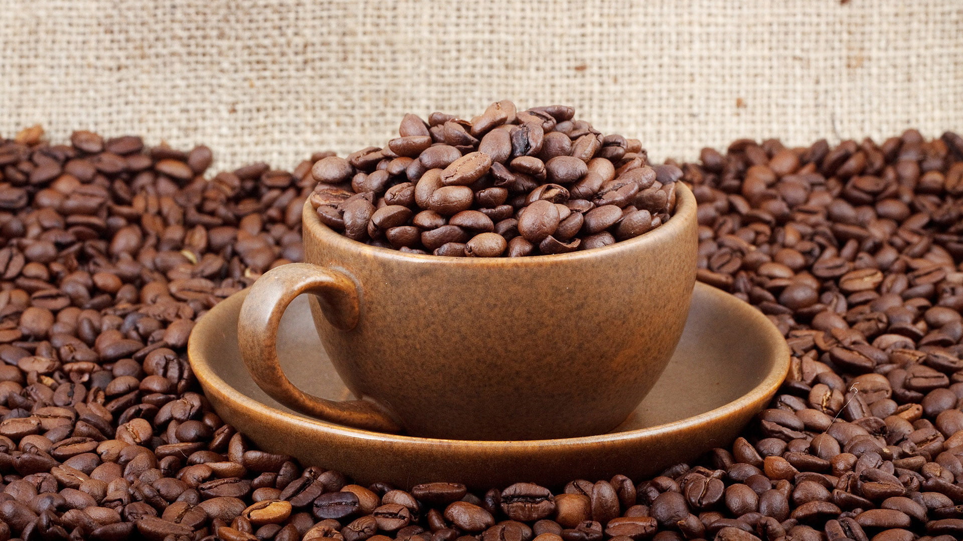 nutrition, black, closeup, food and drink, crockery, roasted, gourmet, freshness, morning, cafe, close-up, drink, coffee - drink, roasted coffee bean, ingredient, HD Wallpaper