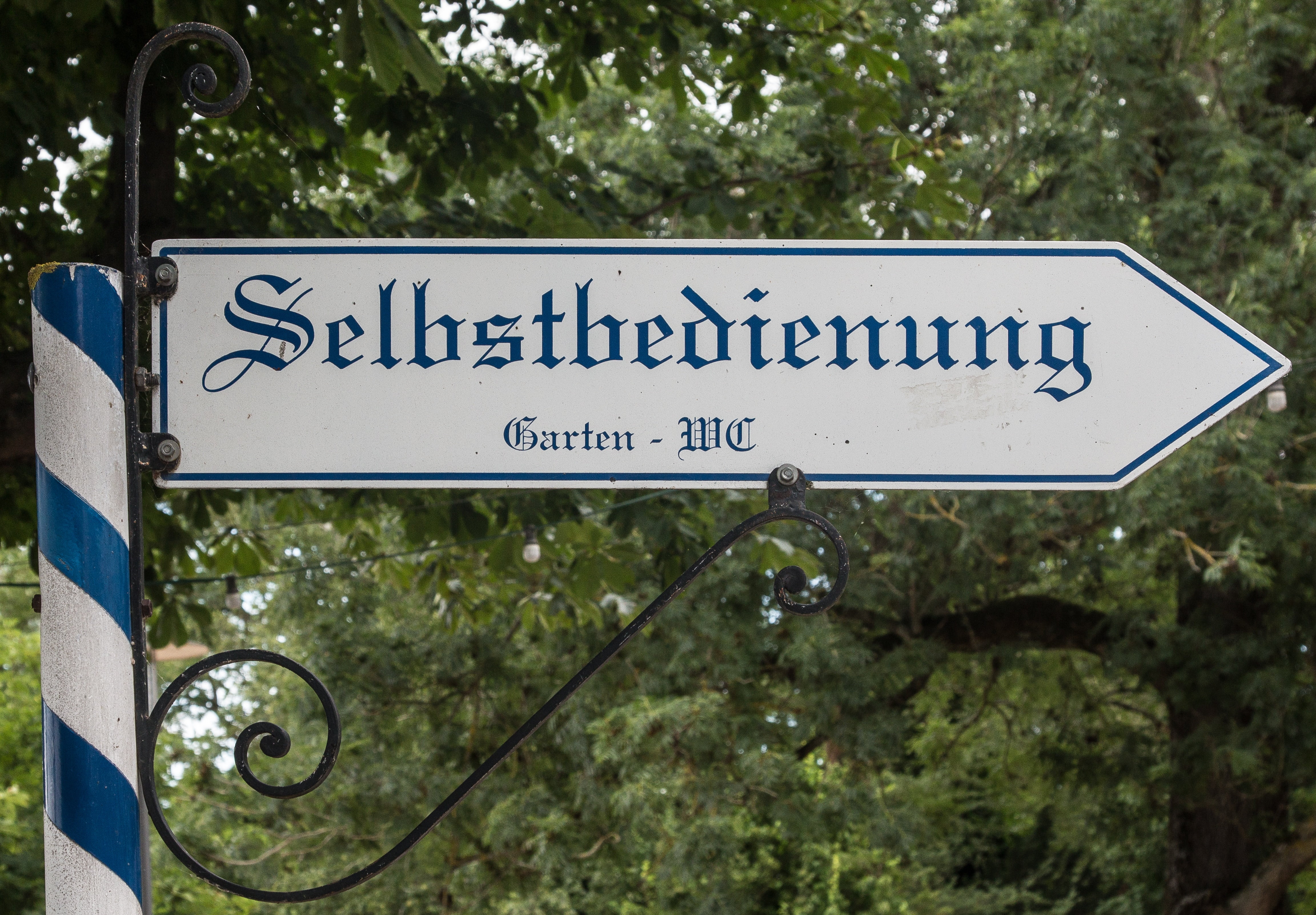 sign, guidance, no people, text, road Sign, garden, day, directional sign, plant, arrow symbol, close-up, outdoors, arrow, script, information sign, western script, HD Wallpaper