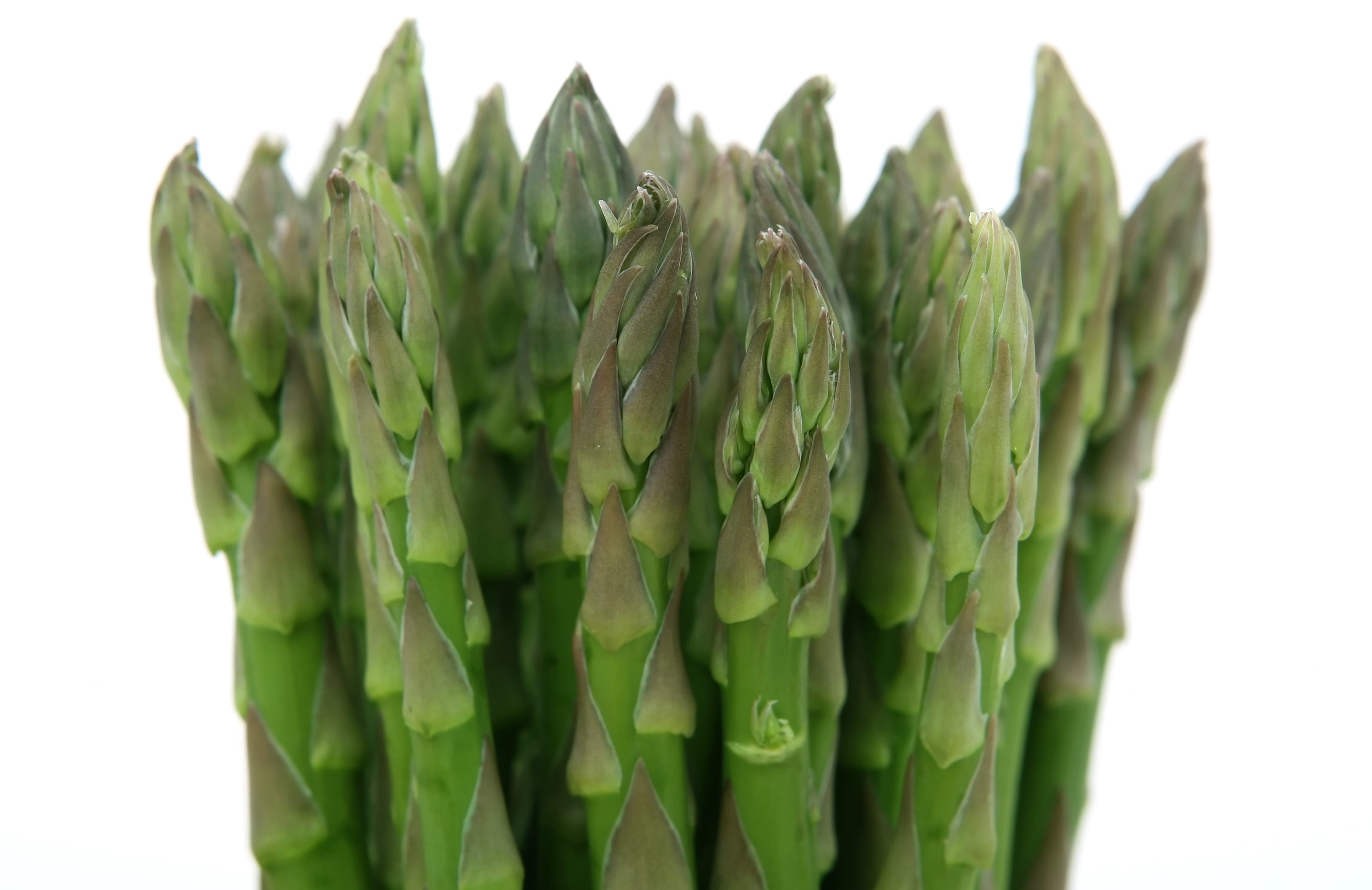 indoors, studio shot, weight, catering, fitness, green, bundle, tied up, produce, food and drink, nourishing, plant, stalk, raw food, asparagus, appetite, HD Wallpaper