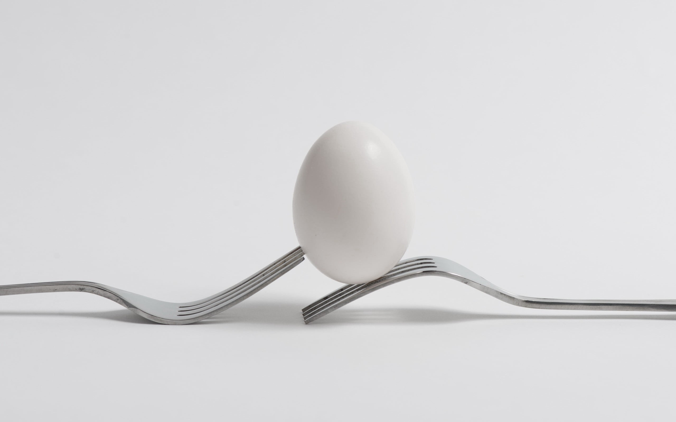 studio shot, fork, meal, 2K, eating, kitchen Utensil, temptation, wellbeing, freshness, silver colored, white color, stainless Steel, healthy eating, indoors, HD Wallpaper