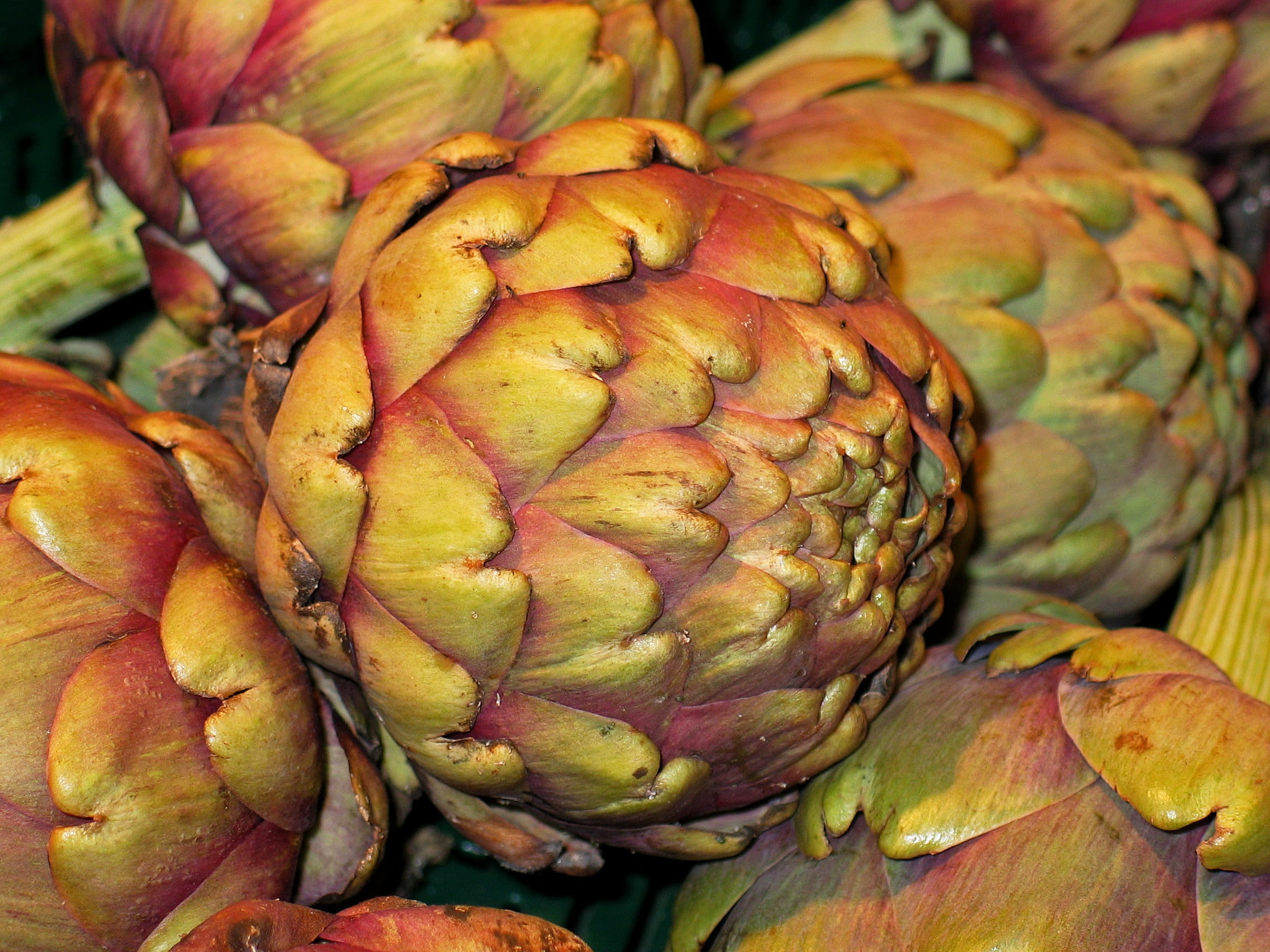 wellbeing, dine, vegetables, vegetarian, harvest, artichoke plant, enjoy, leaf, for sale, tropical fruit, abundance, cook, vegan, healthy, delicious, plant, HD Wallpaper