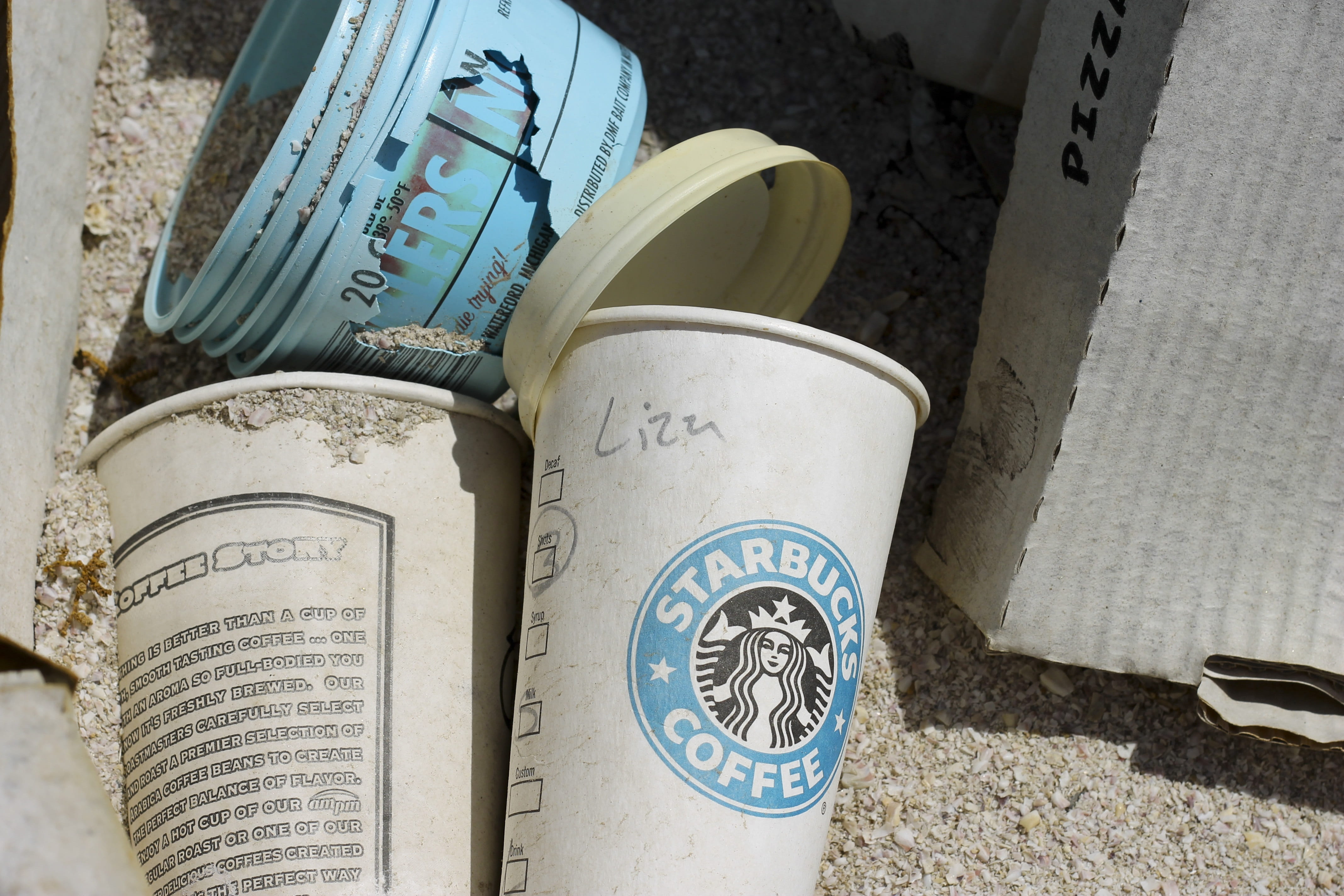 coffee cup, disposable, salton sea, old, religion, sand, non-western script, pizza box, sunlight, day, trash, white, paper, logo, belief, communication, HD Wallpaper