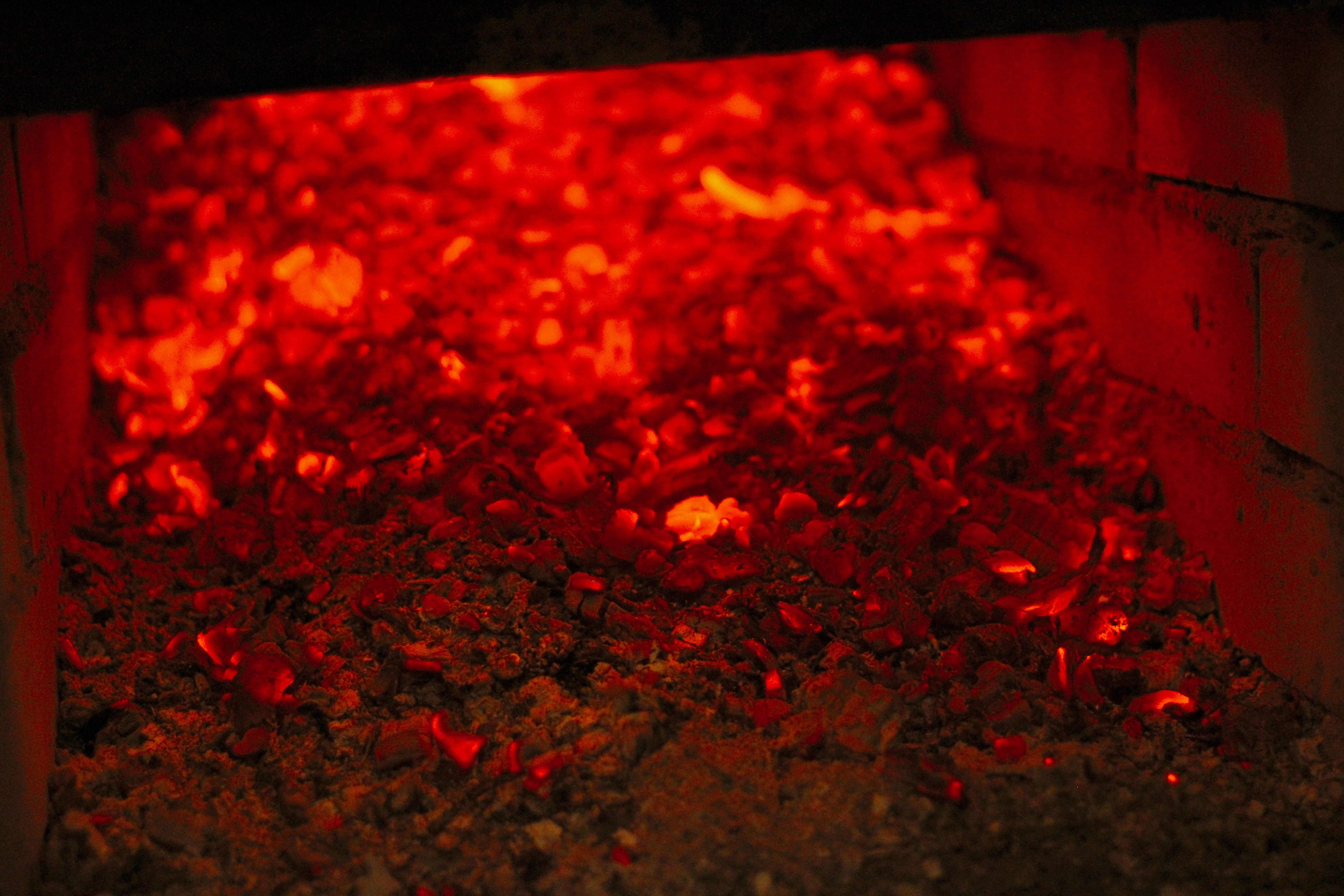 petal, indoors, forge, backgrounds, flower, no people, charcoal, murat, glowing, outdoors, plant, fire, france, blossom, coal, selective focus, nature, HD Wallpaper