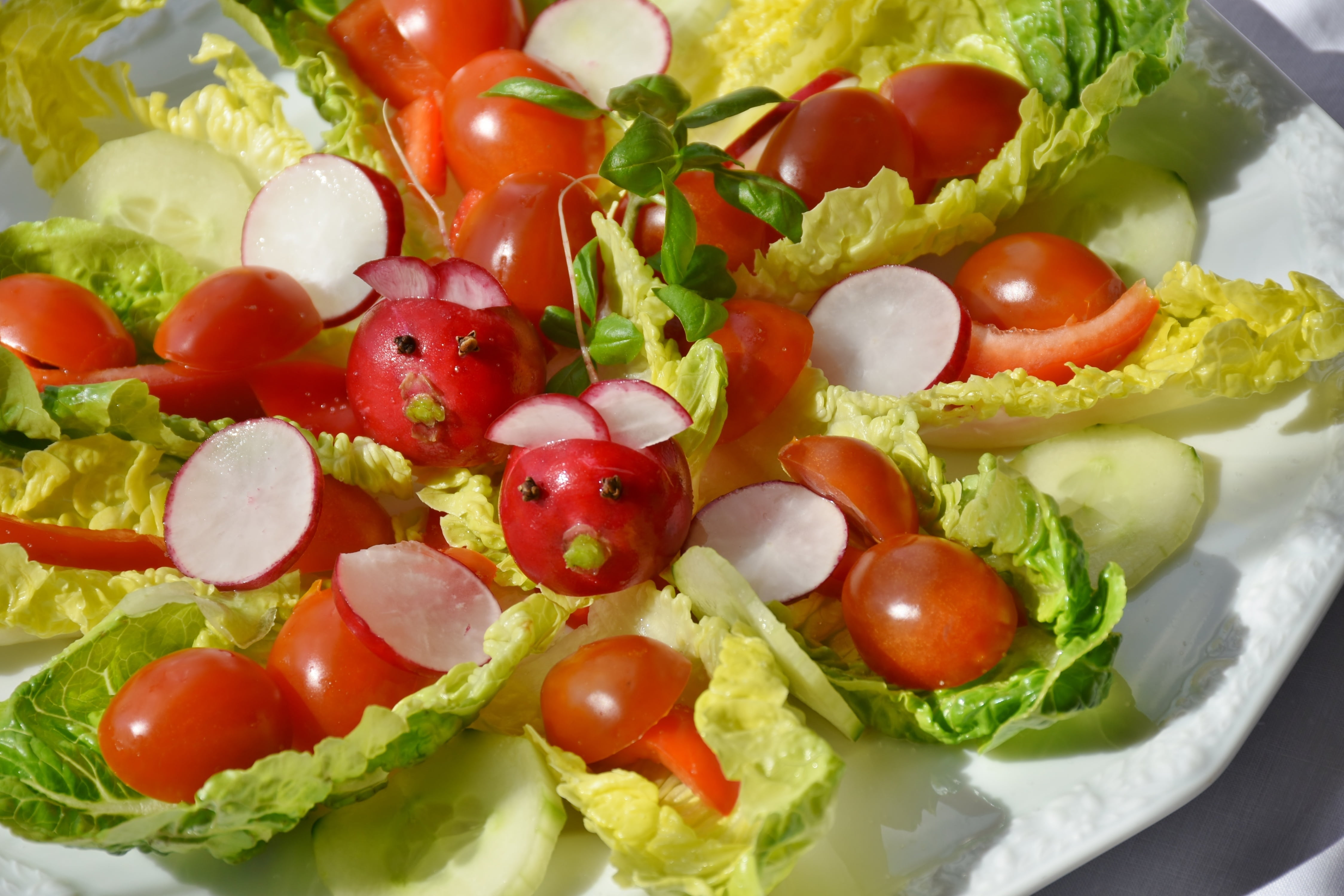 green, kitchen, close-up, food and drink, wellbeing, dinner, photography, egg, no people, vegetarian, vegetarian Food, appetizing, still life, healthy, HD Wallpaper