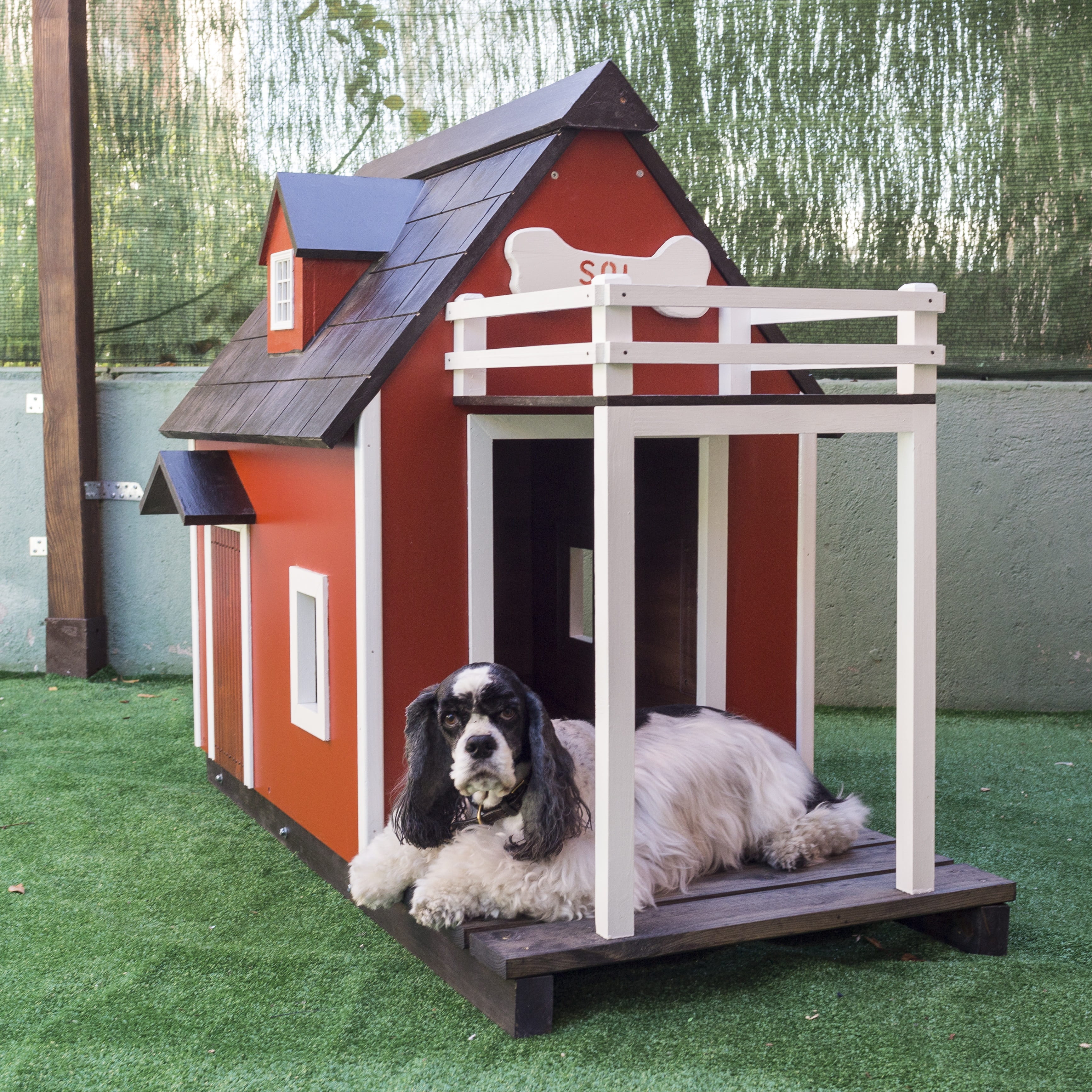 building exterior, portrait, architecture, plant, domestic animals, pets, no people, one animal, canine, animal, grass, dog houses, mammal, dog, built structure, Phone HD Wallpaper