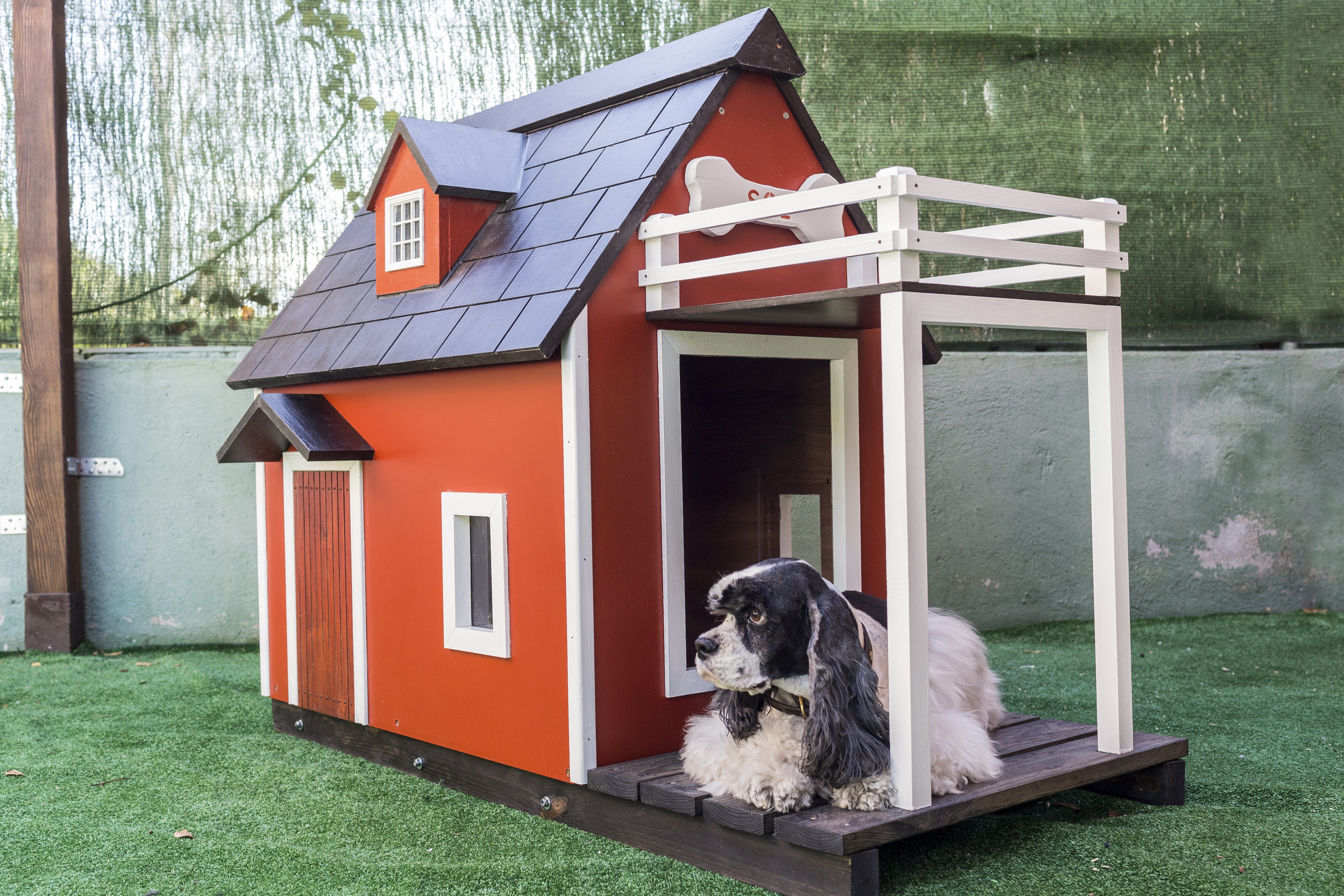 outdoors, domestic animals, 4K, mammal, wooden houses for dogs, vertebrate, kennels for pets, pets, built structure, house, no people, day, grass, domestic, HD Wallpaper