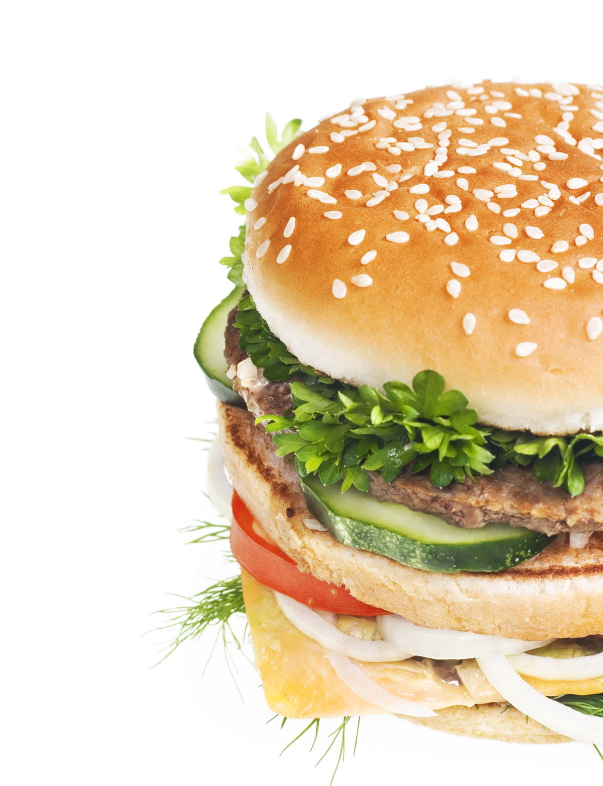 meal, indulgence, dinner, cheeseburger, fast, snack, food and drink, white background, vegetable, grilled, american, nutrition, bun, indoors, salad, no people, Phone HD Wallpaper