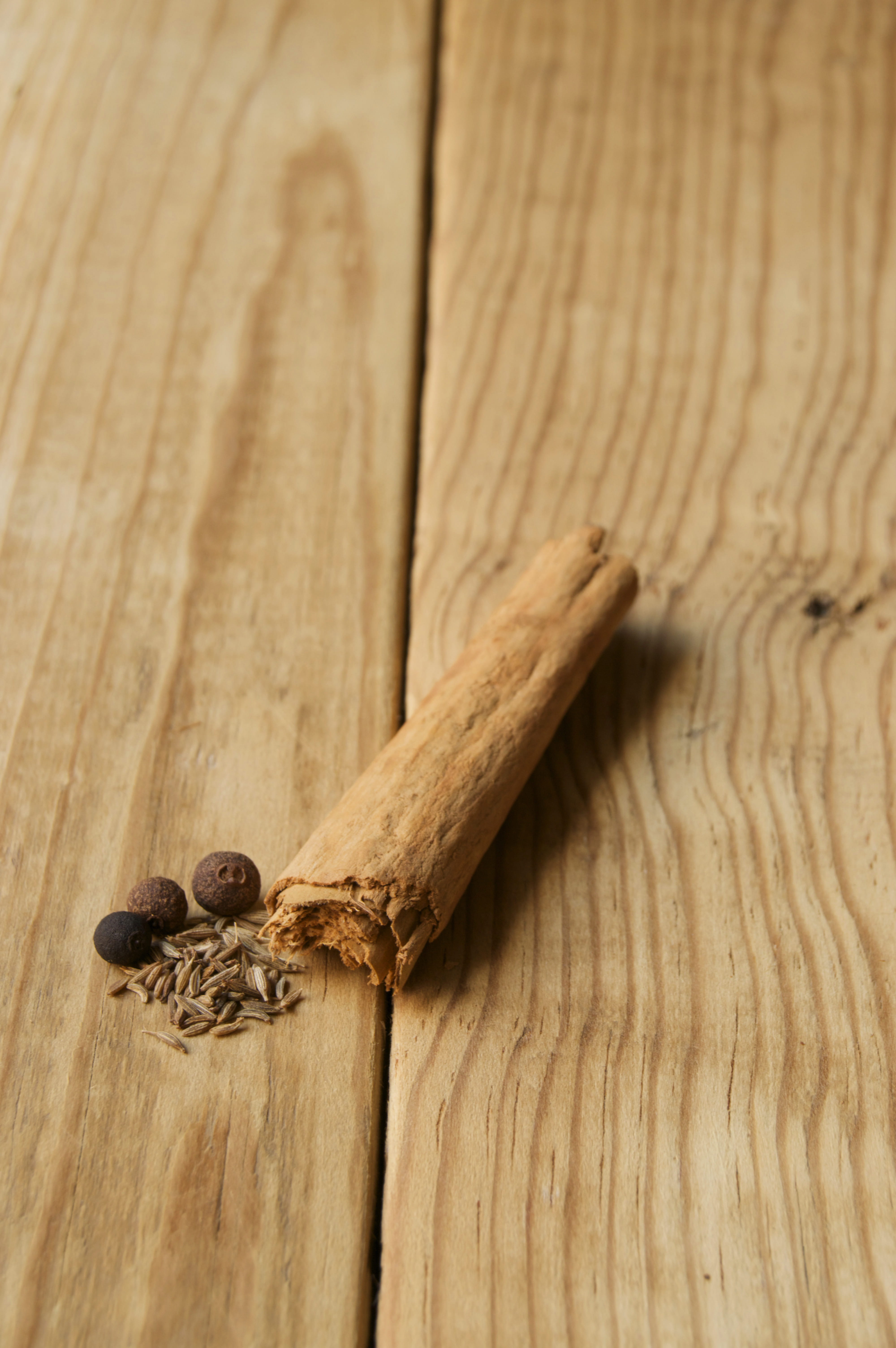 one animal, animals in the wild, tree, animal wildlife, animal themes, invertebrate, indoors, animal, close-up, spices, cinnamon stick, wood, wellbeing, Phone HD Wallpaper