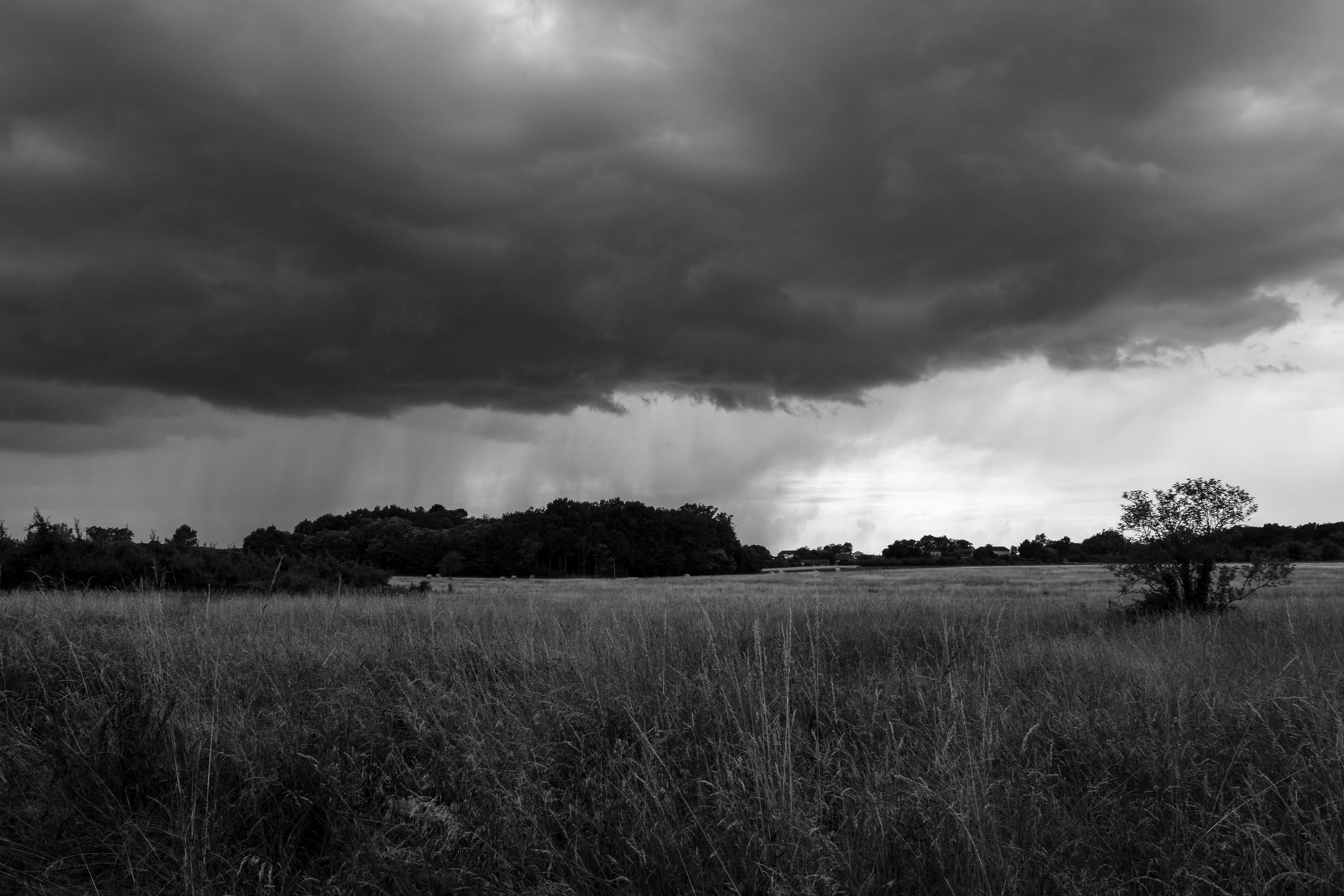land, environment, 5K, growth, storm cloud, grass, no people, cloud - sky, tranquil scene, outdoors, weather, landscape, france, tranquility, sky, overcast, HD Wallpaper