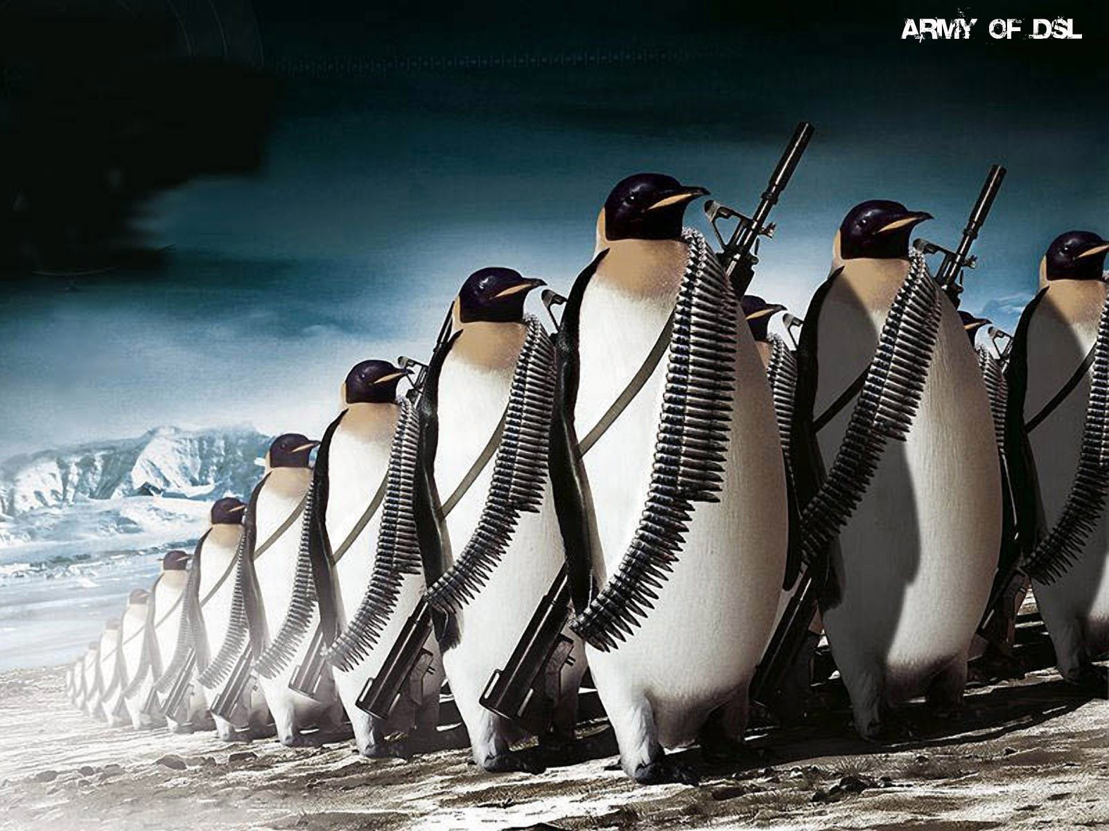 tux, animals, penguins, linux, 720P, HD Wallpaper
