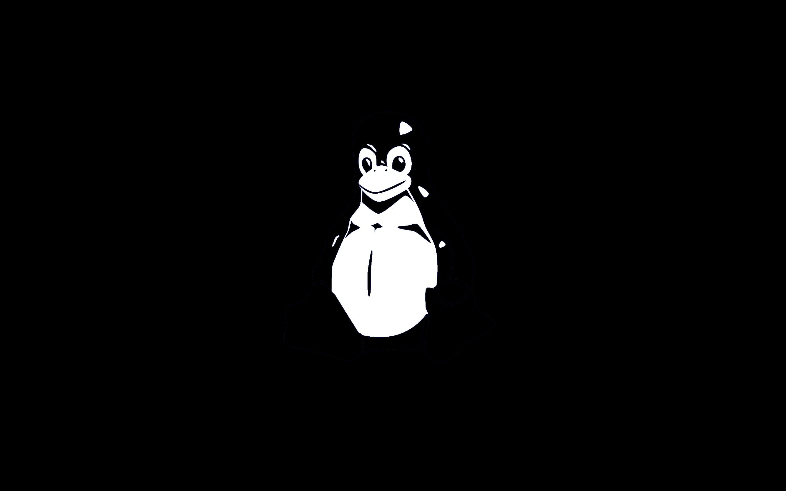creativity, illuminated, darkroom, representation, copy space, dark, linux tux, figurine, night, domestic animals, black background, mammal, lighting equipment, HD Wallpaper