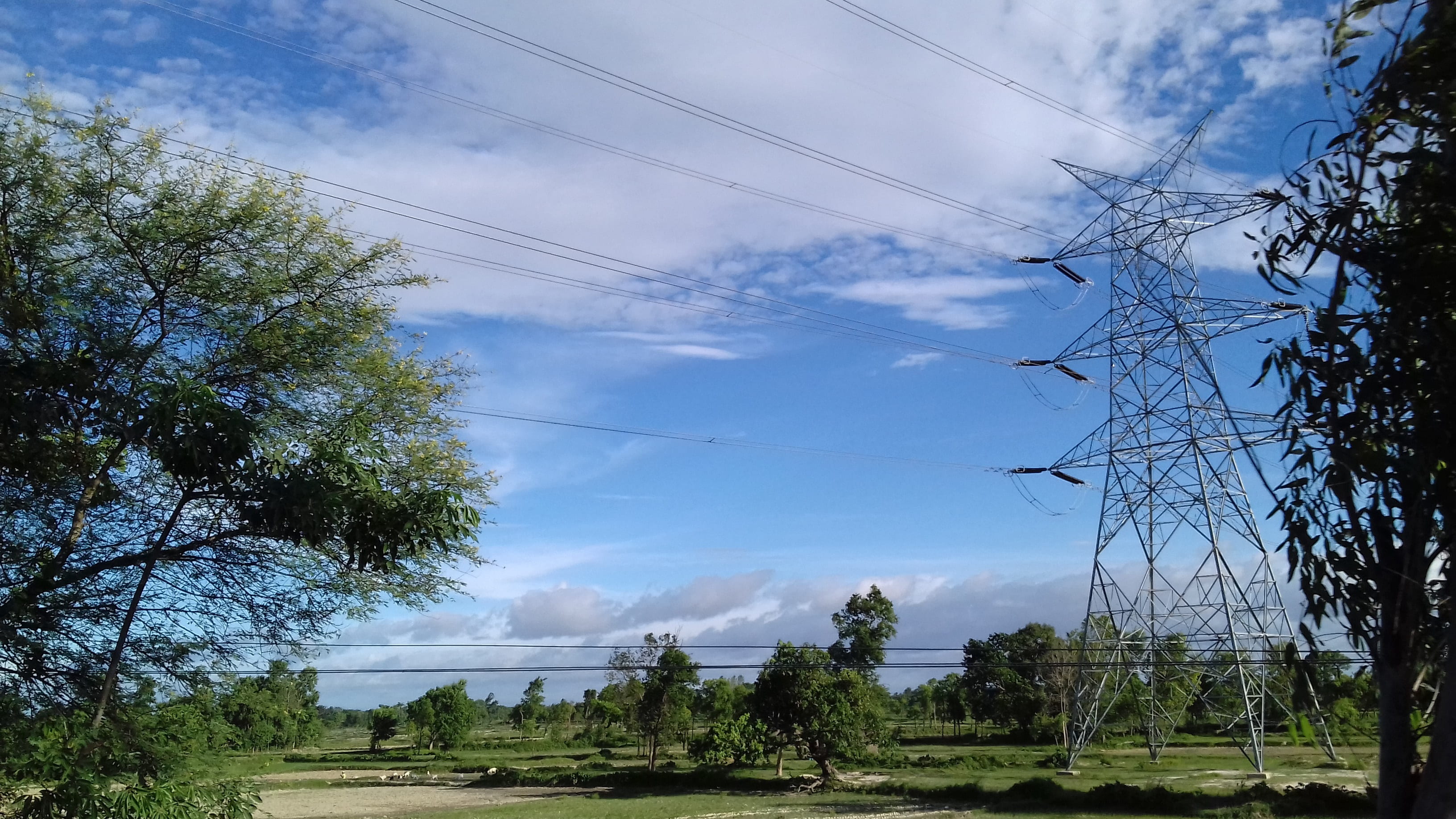 tree, landscape, scenics - nature, cloudporn, pole, projects, cable, globetrotter, environment, jhurmuth, wanderer, sky, bridge, wide, electricity, skyporn people, HD Wallpaper