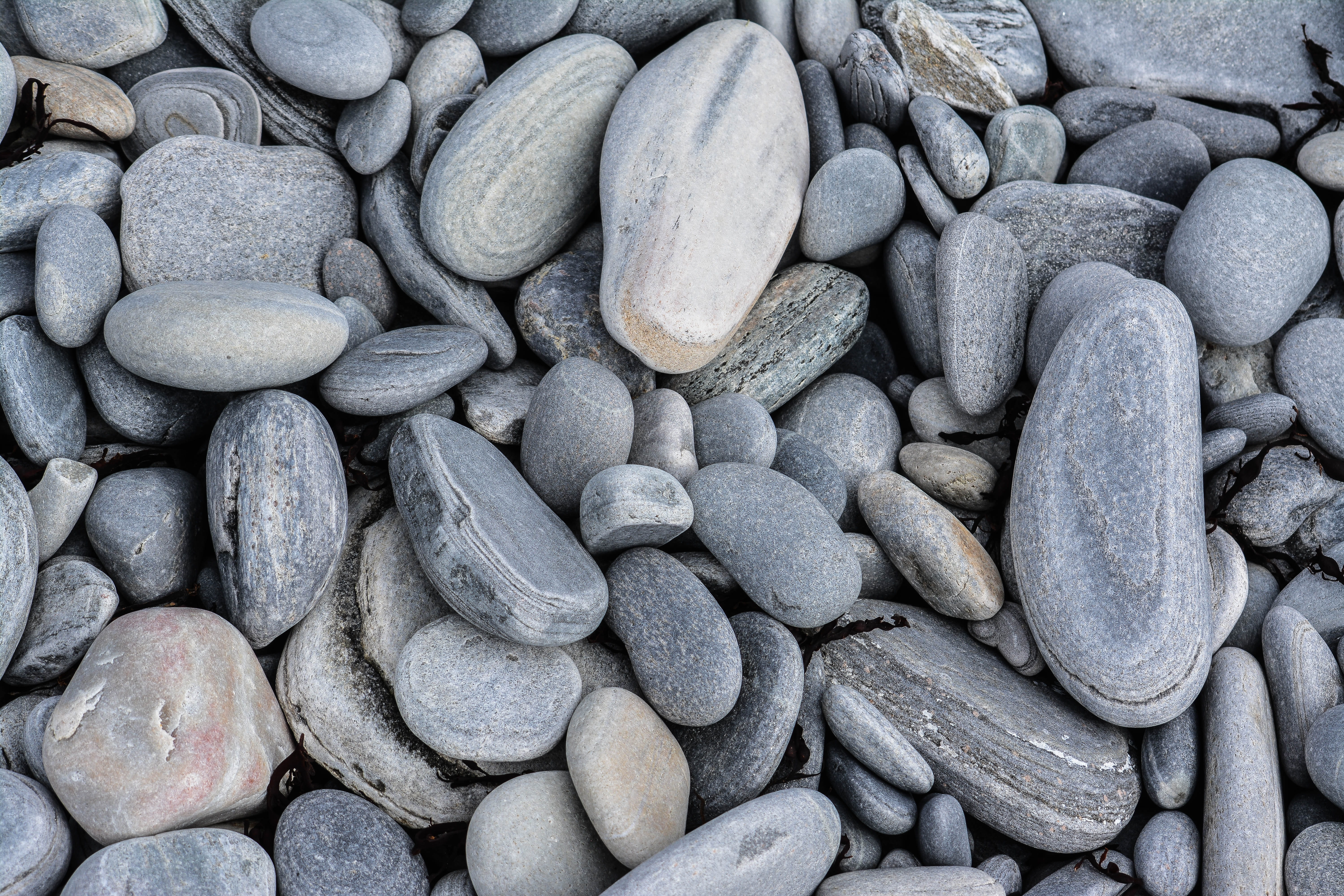 norway, close-up, steine, directly above, skandinavien, stones, stone - object, solid, pebble, no people, day, editing, lightroom, photography, HD Wallpaper