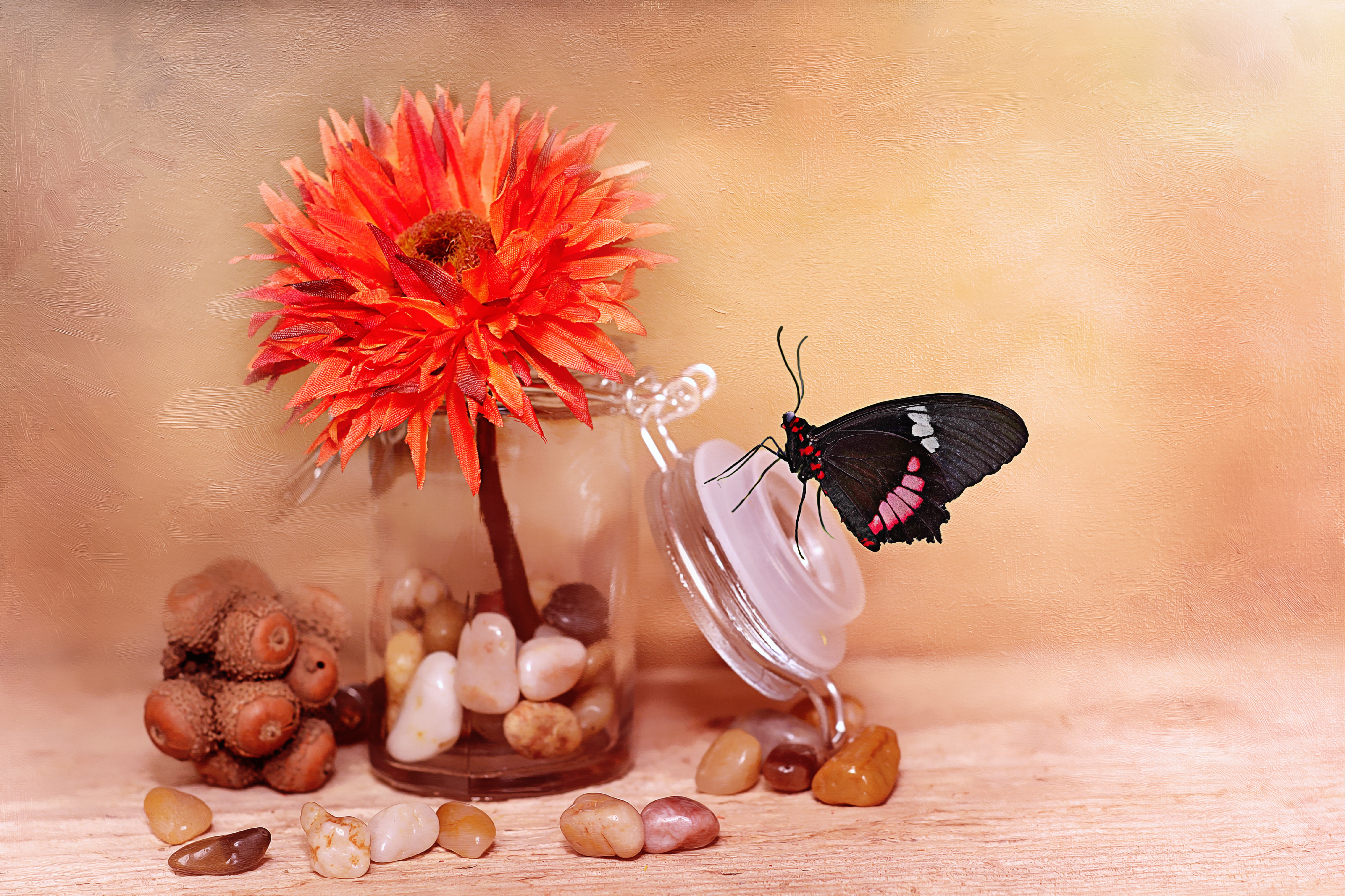 clustered, no people, decorative glass, food, orange, plant, food and drink, glass, deco, lid, decoration, bloom, 5K, black, fabric flower, perched, blossom, HD Wallpaper
