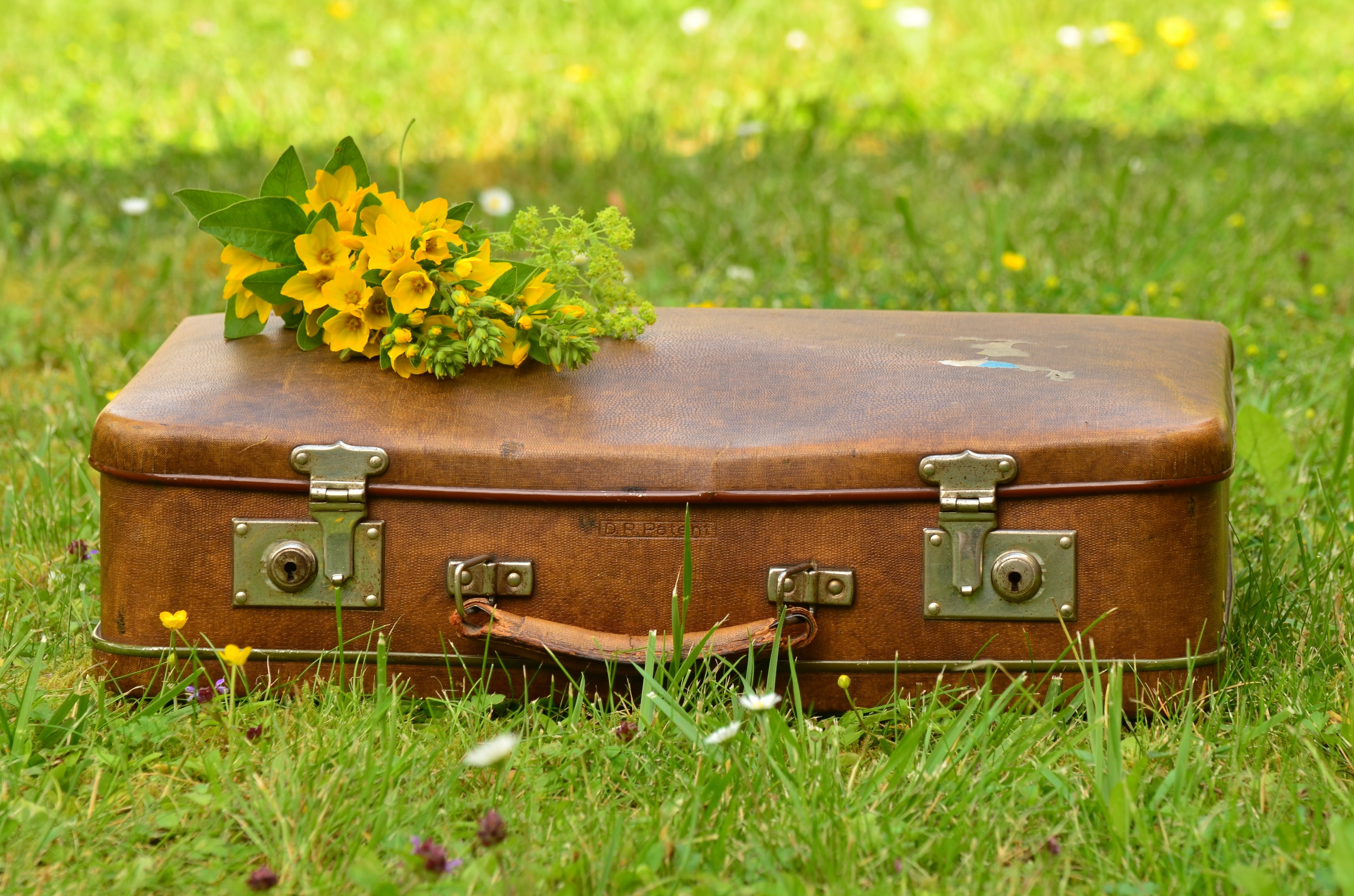 green color, greeting, day, antique, flower head, hardside, nature, outdoors, out, old, yellow flowers, grass, luggage, meadow, bouquet, no people, yellow, HD Wallpaper