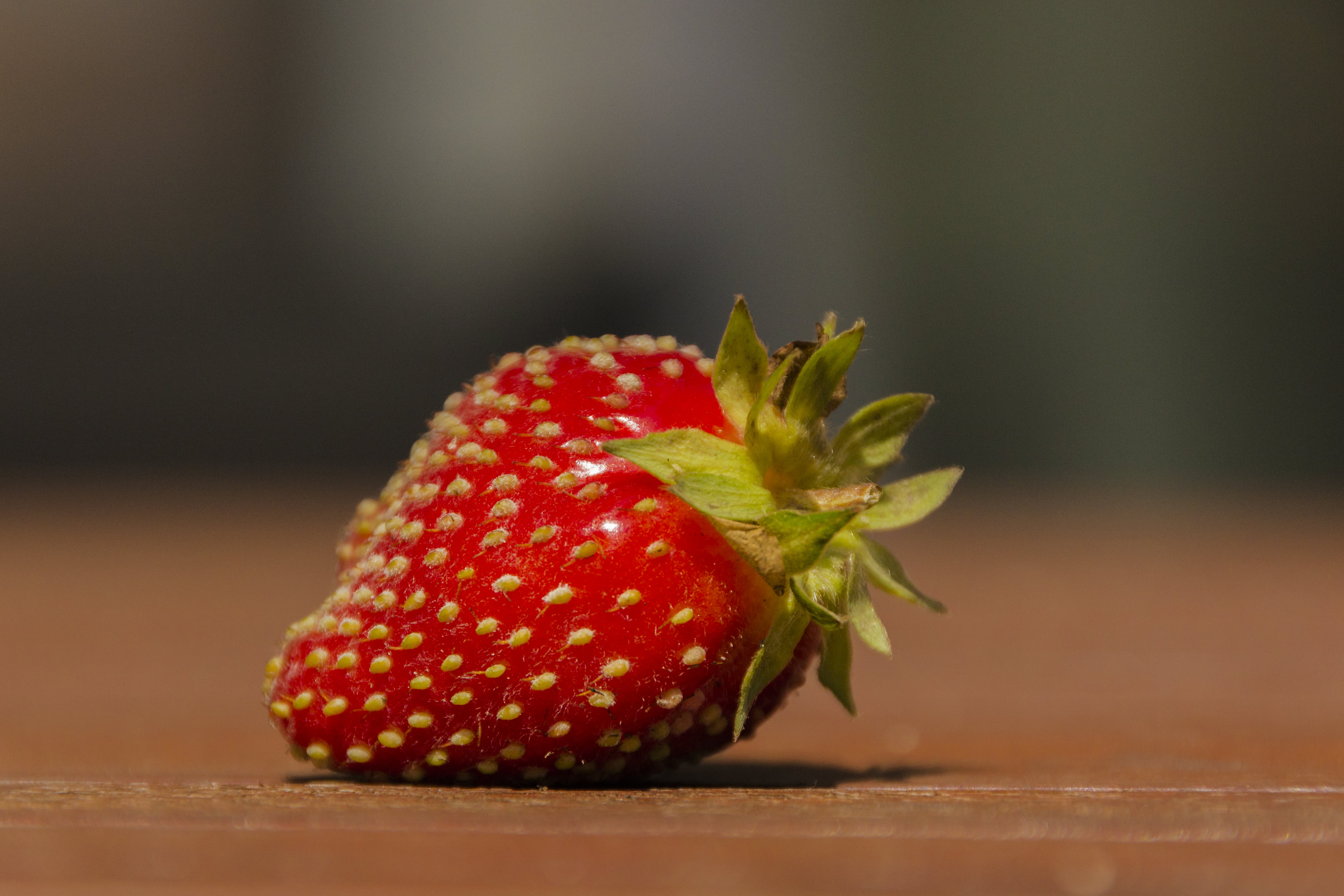 closeup photography, organic, ngc, surface, Sigma, Strawberry, food, mm, 4K, breed, Canon EOS 600D, brown, rot, leaf, healthy Eating, close-up, National Geographic, HD Wallpaper