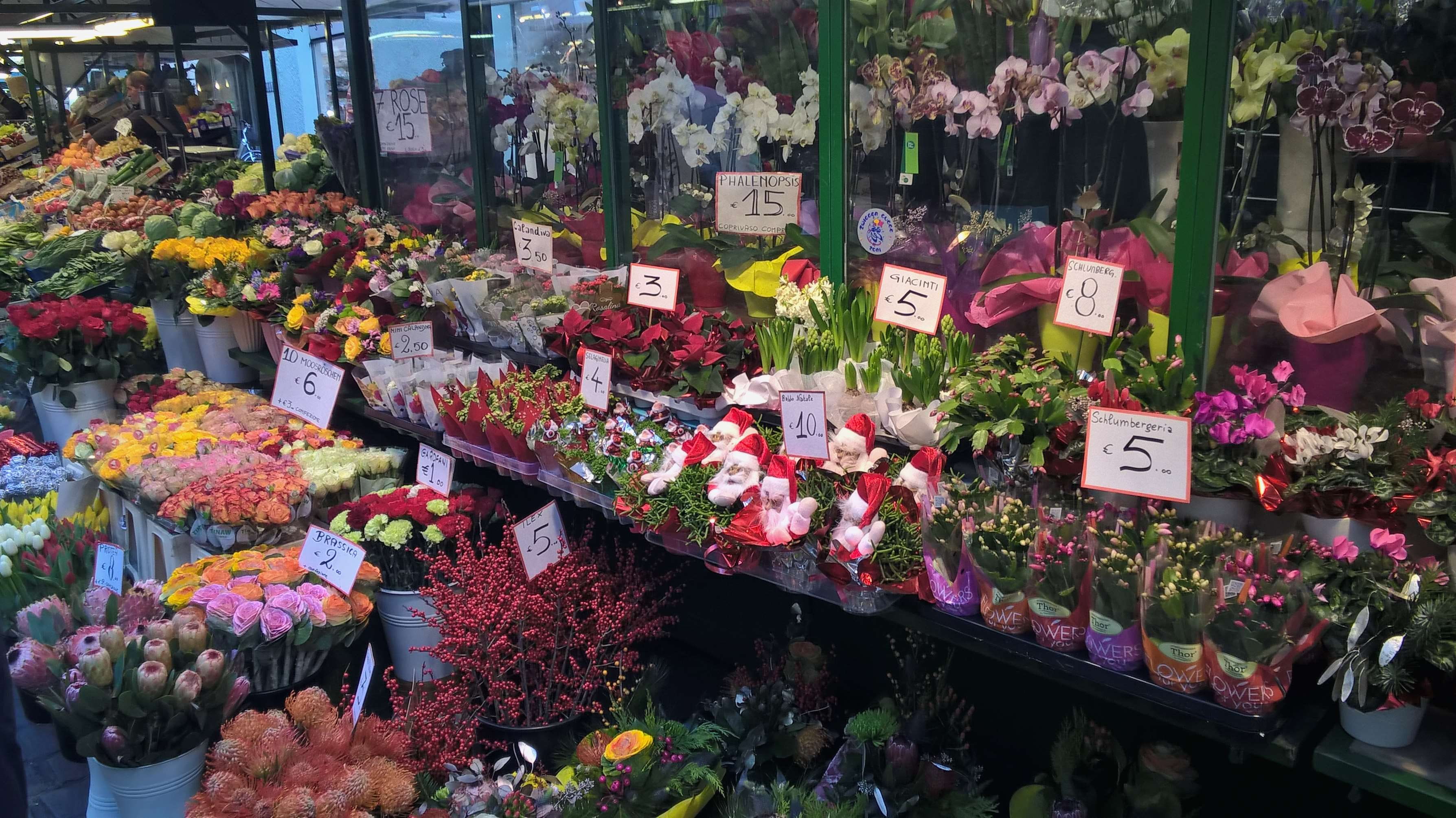 flower market, business, christmas, bouquet, freshness, consumerism, flower head, flowering plant, plant, flower, sale, retail, retail display, bunch of flowers, HD Wallpaper