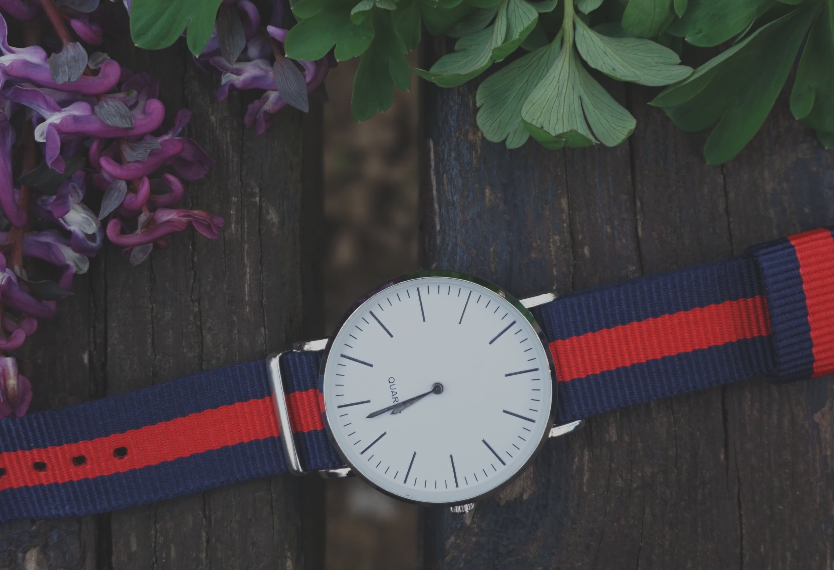 multi colored, close-up, rose, bench, surface, fashion, accessories, wood, vintage, red, country, design, plant, green, style, stripped, colour, blue, flowers, HD Wallpaper