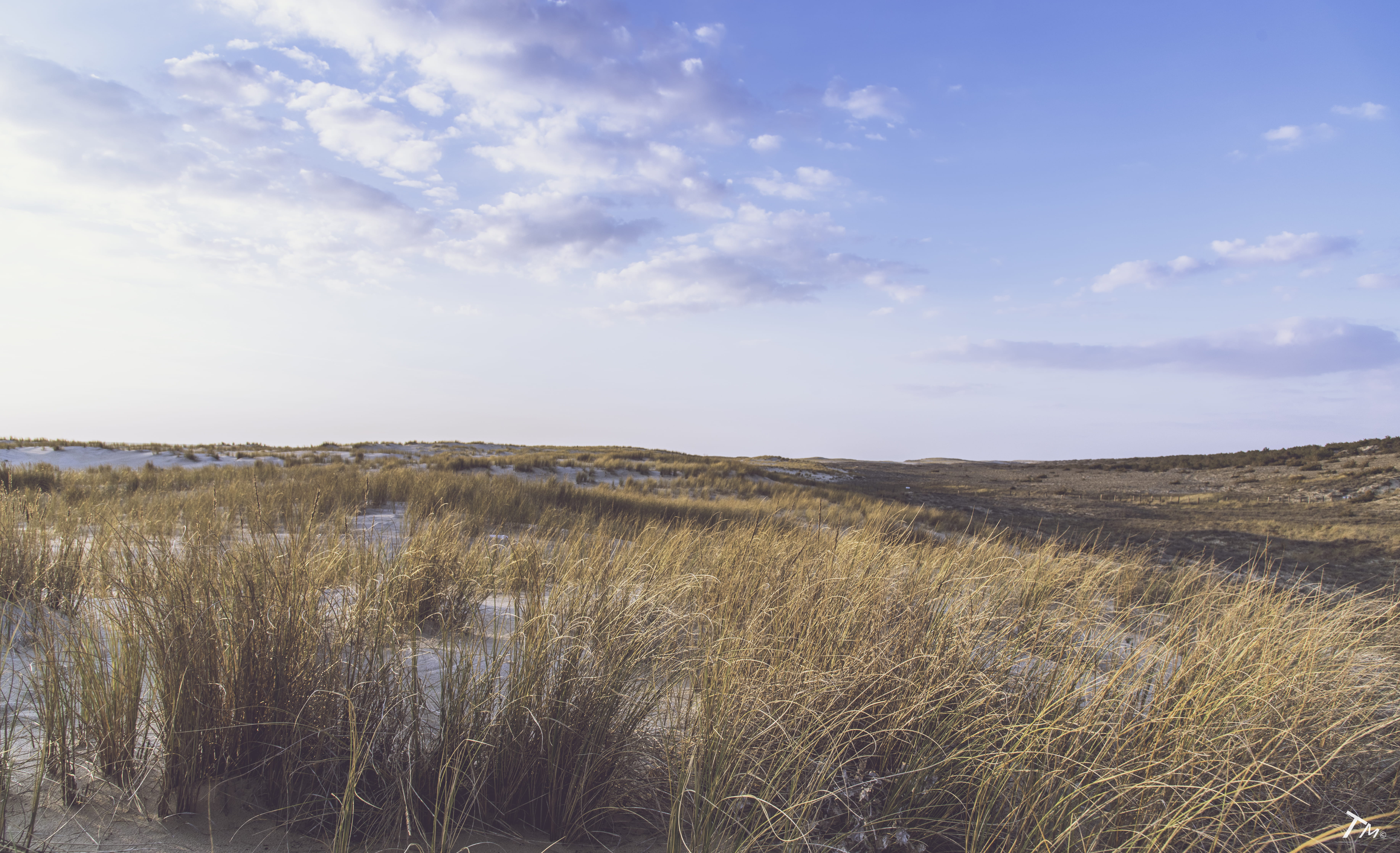 environment, plant, tranquil scene, land, outdoors, sea, la teste-de-buch, growth, landscape, sky, cloud - sky, 5K, non-urban scene, plage de la salie-nord, HD Wallpaper