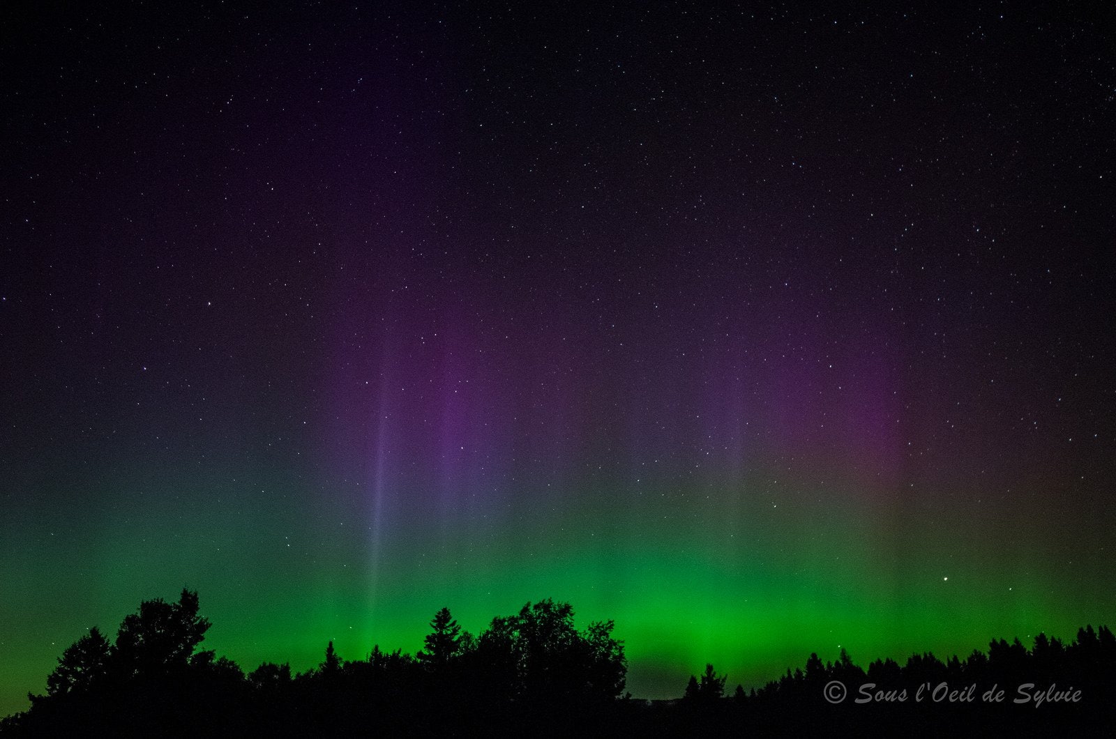 lights, nature, northern, 720P, alaska, borealis, aurora, sky, boreale, outdoors, artic, landscape, HD Wallpaper