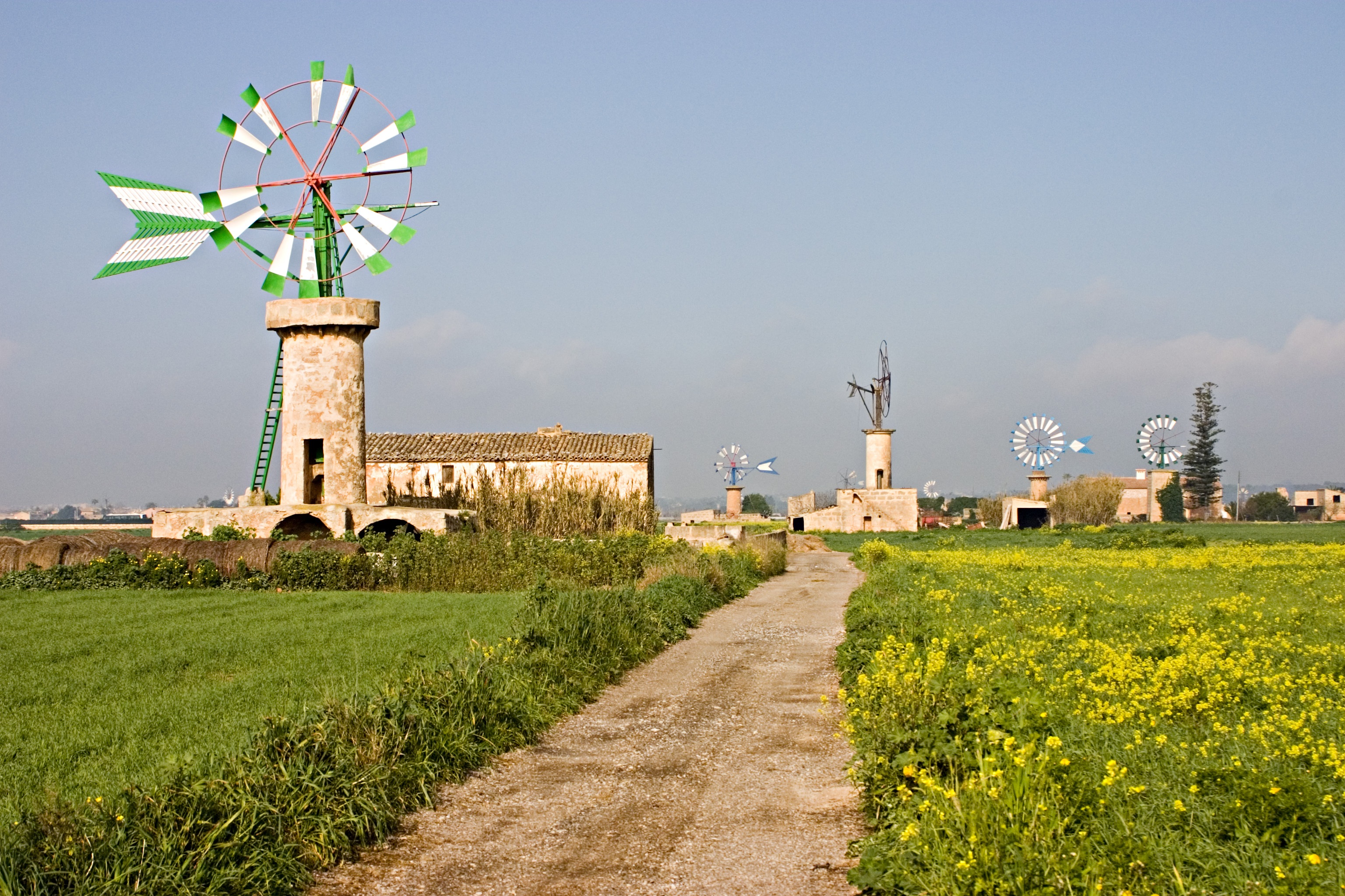 travel destinations, the past, mill, plant, grass, windmill, alternative energy, green, white, renewable energy, daytime, balearic islands, wind, wind power, HD Wallpaper